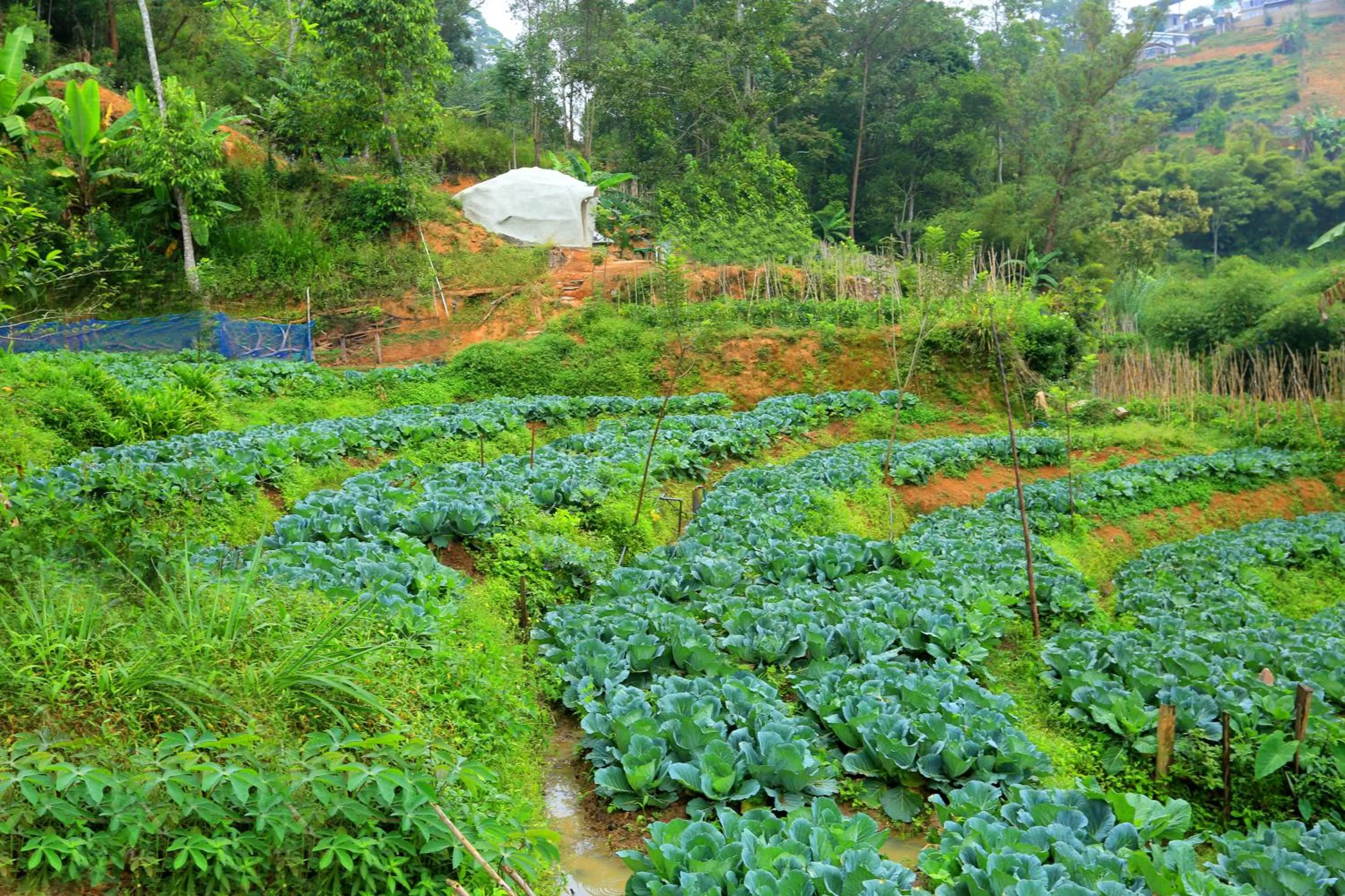 Day in Top Mountain Resort