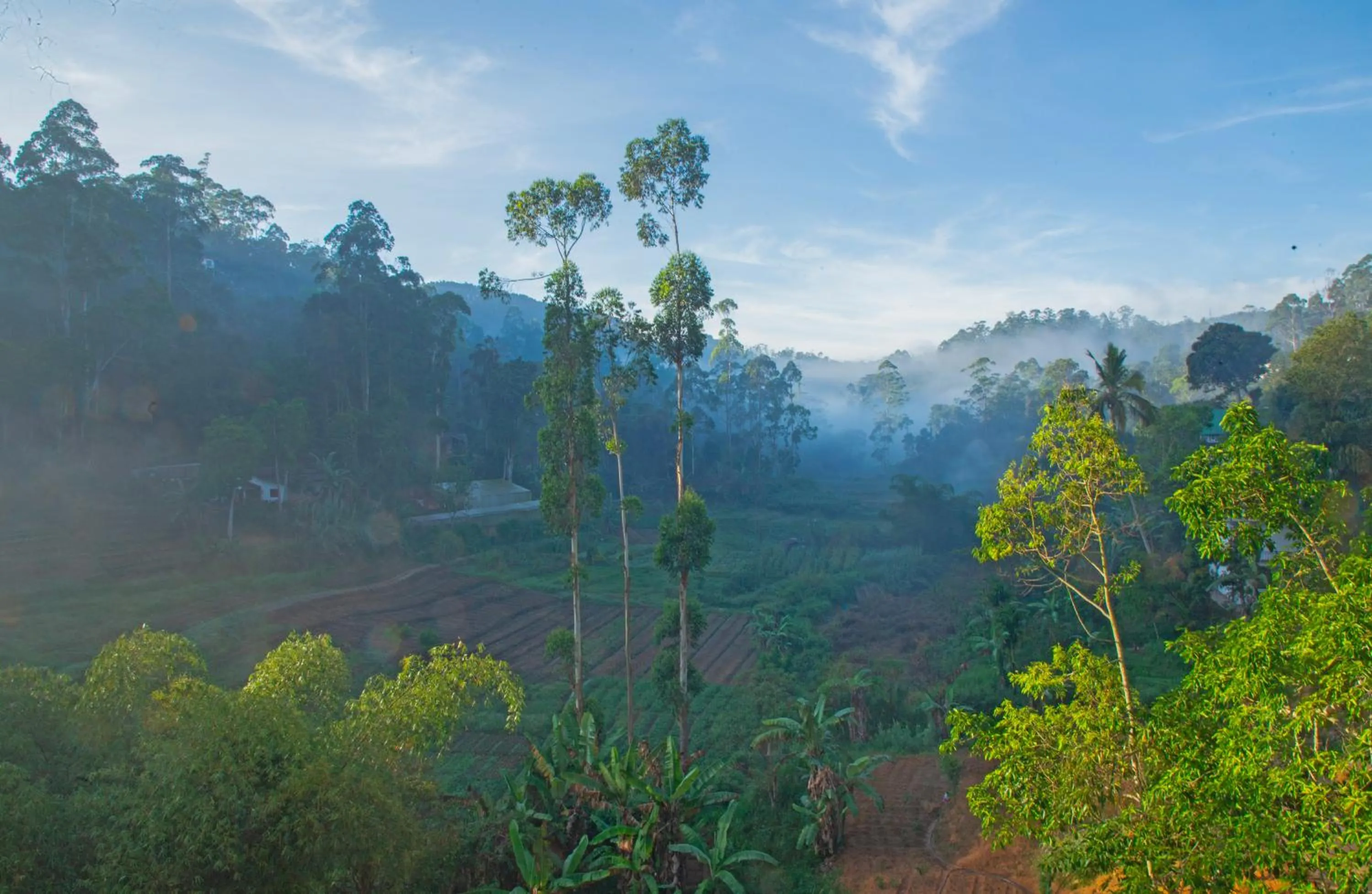 Mountain view in Top Mountain Resort