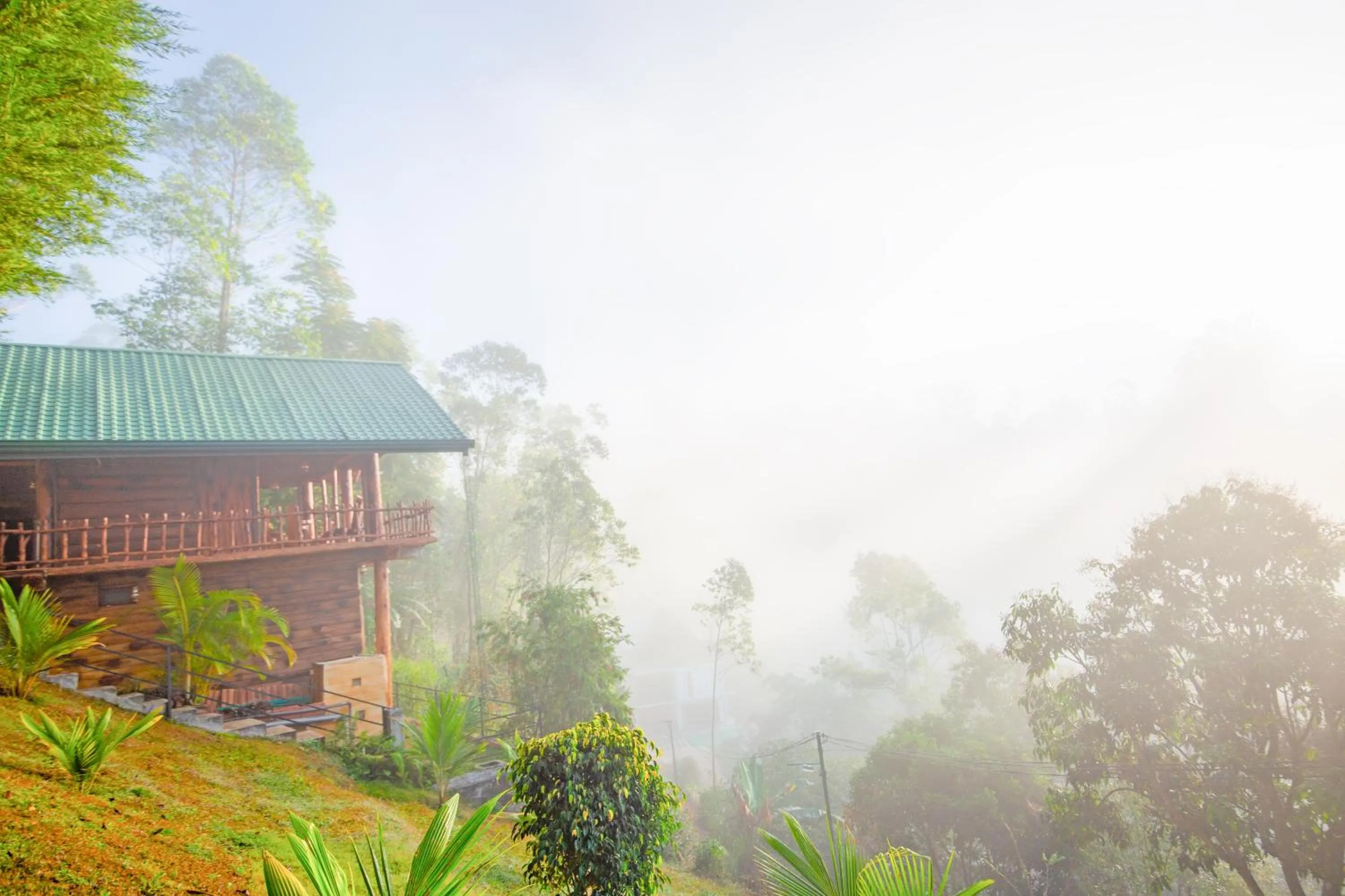 Natural landscape in Top Mountain Resort