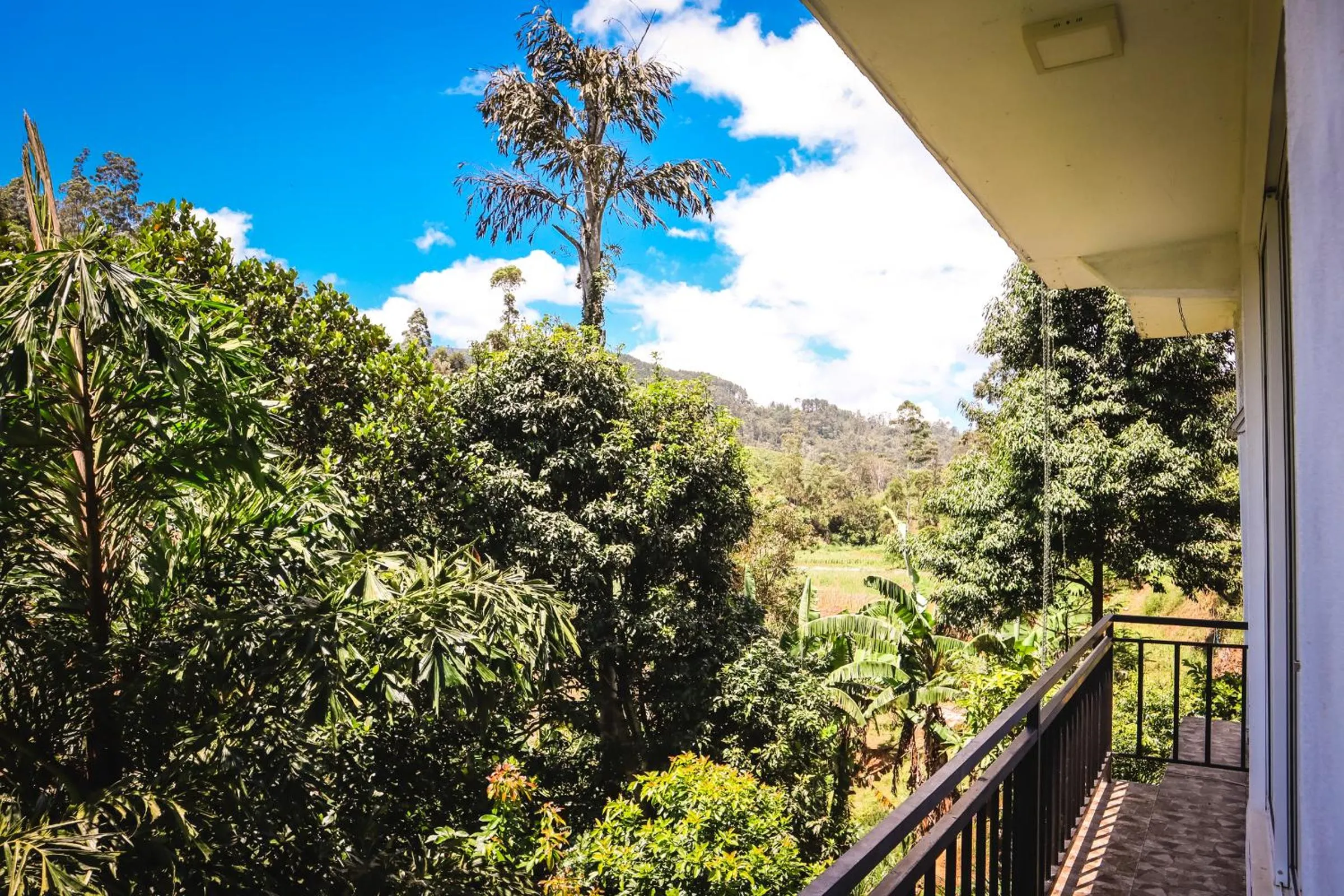 Balcony/Terrace in Top Mountain Resort