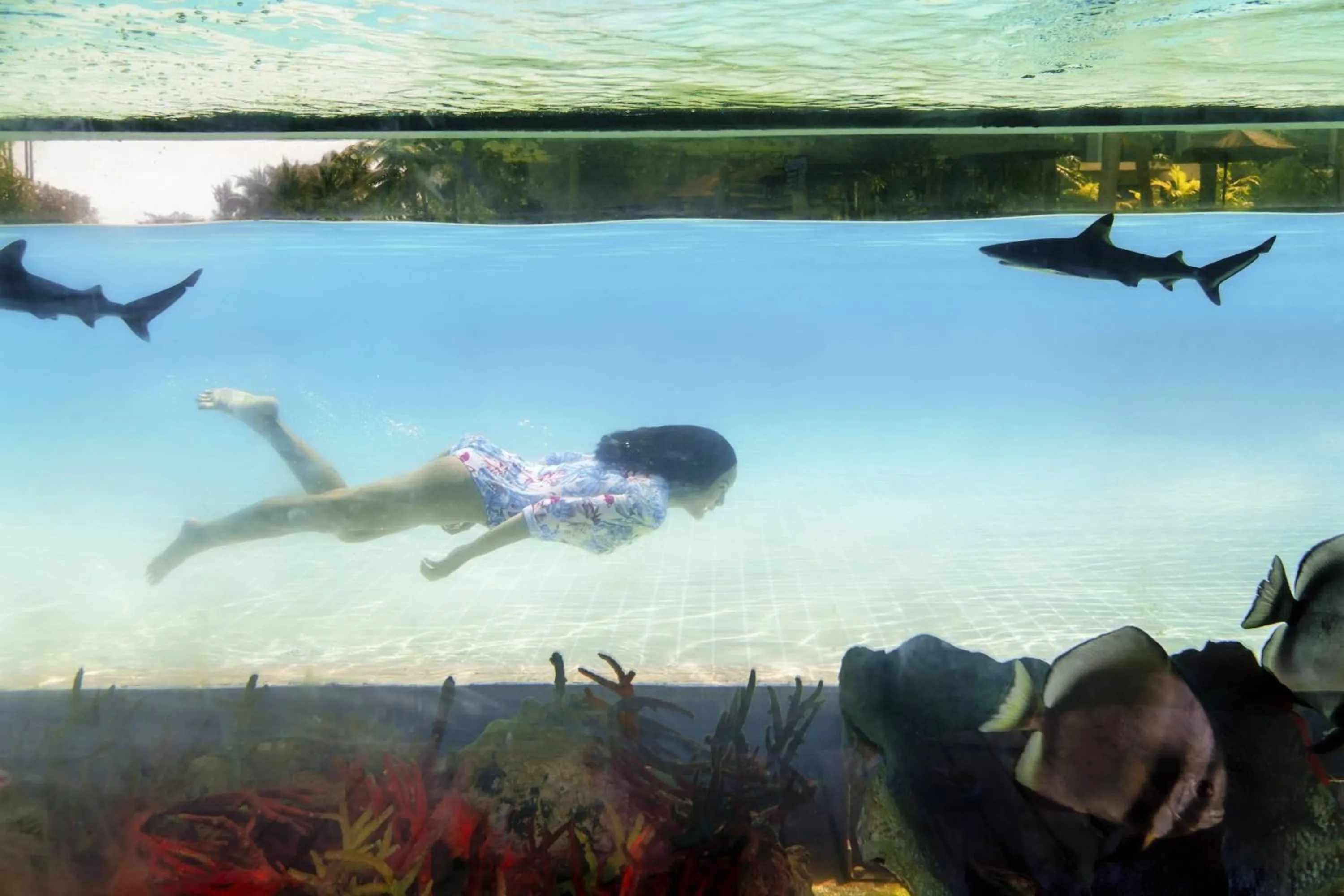 Other in Rayong Marriott Resort & Spa