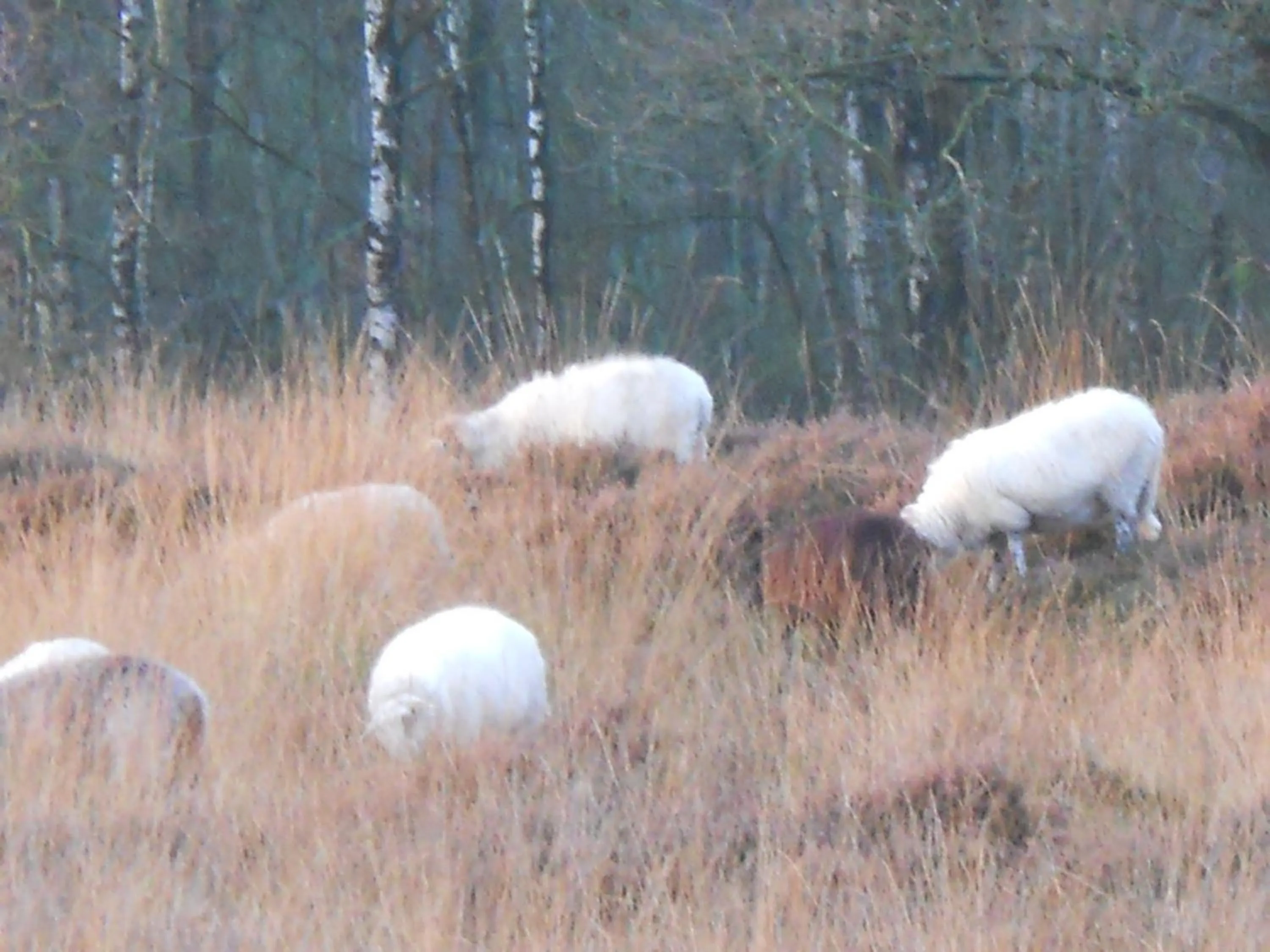 Area and facilities in Slaopen en Stoet