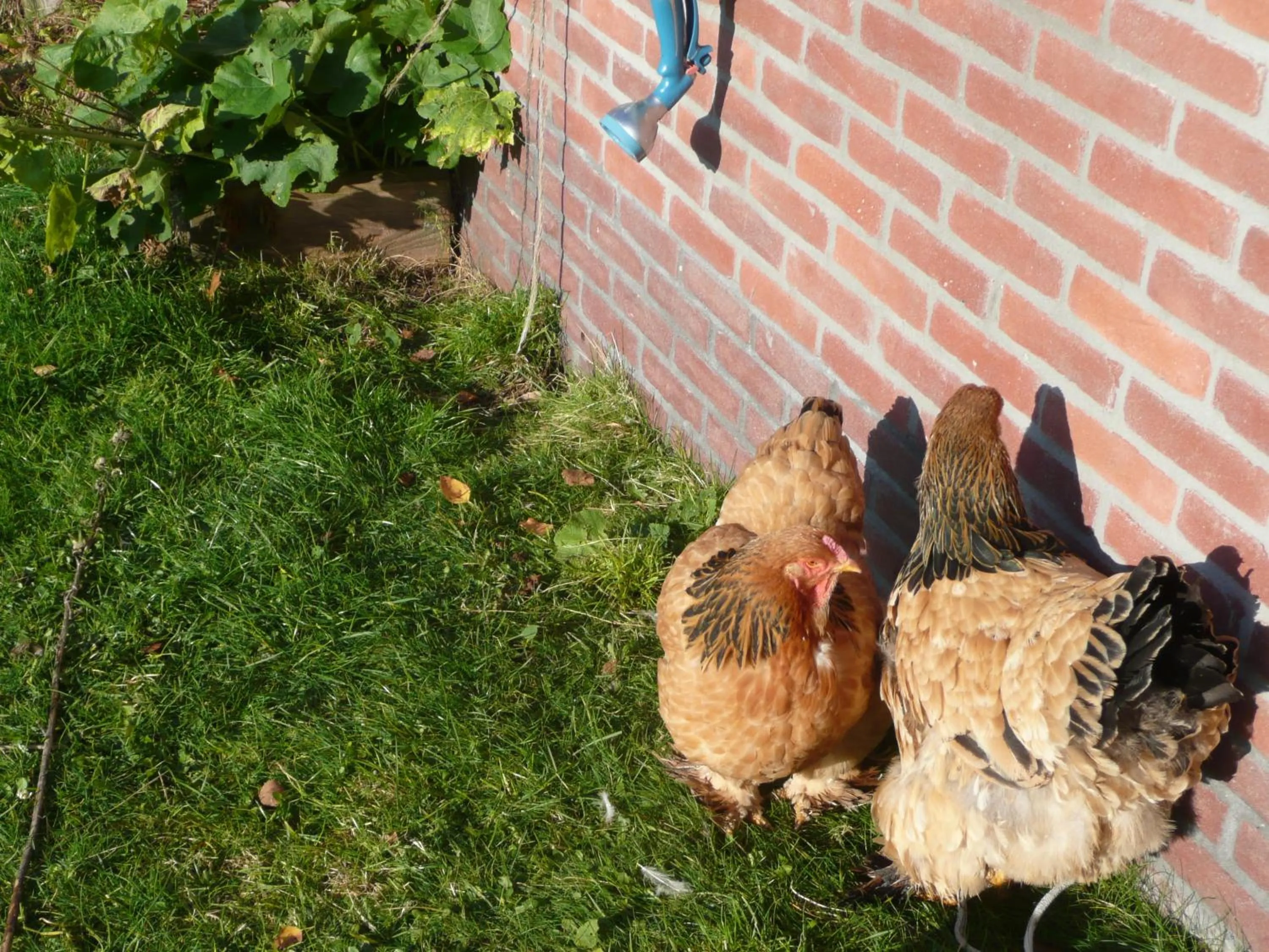 Area and facilities in Slaopen en Stoet