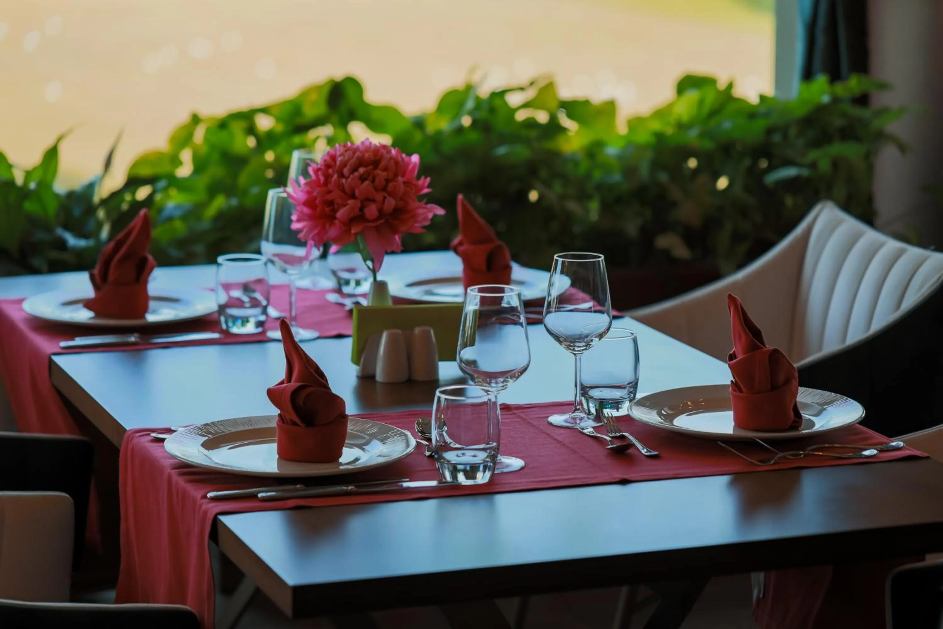 Restaurant/places to eat in Dreamland Golf Hotel Baku