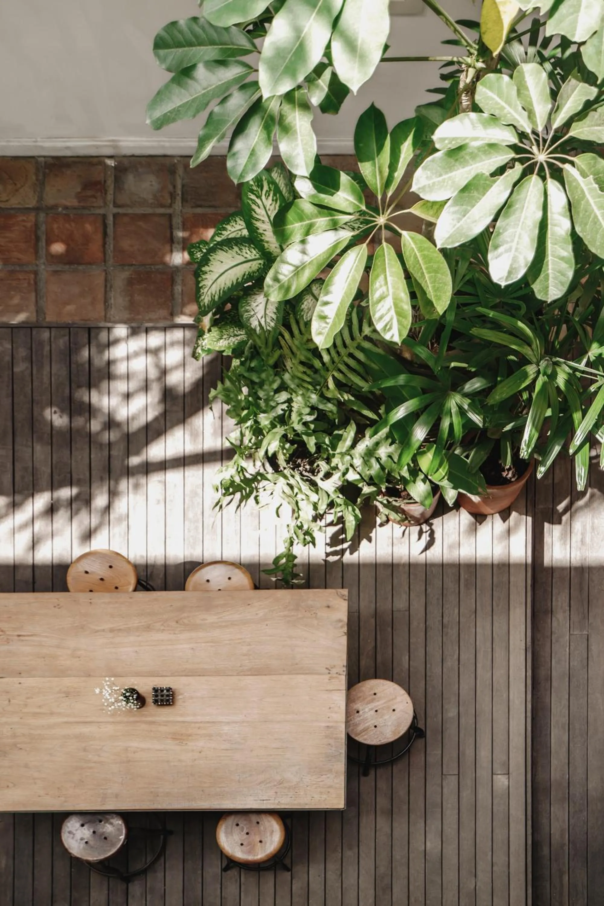 Day in Brown Feather Hotel