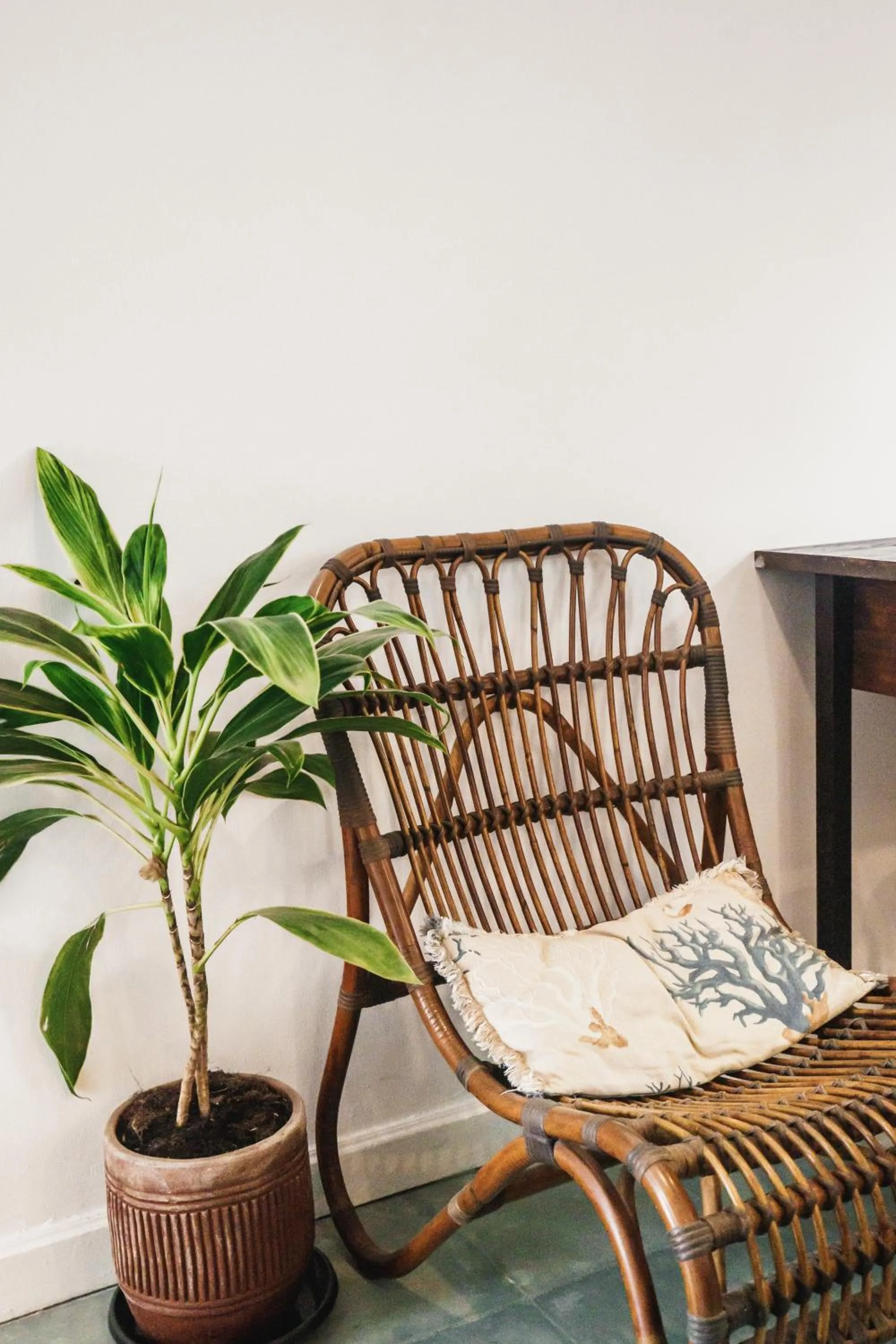 Seating area in Brown Feather Hotel