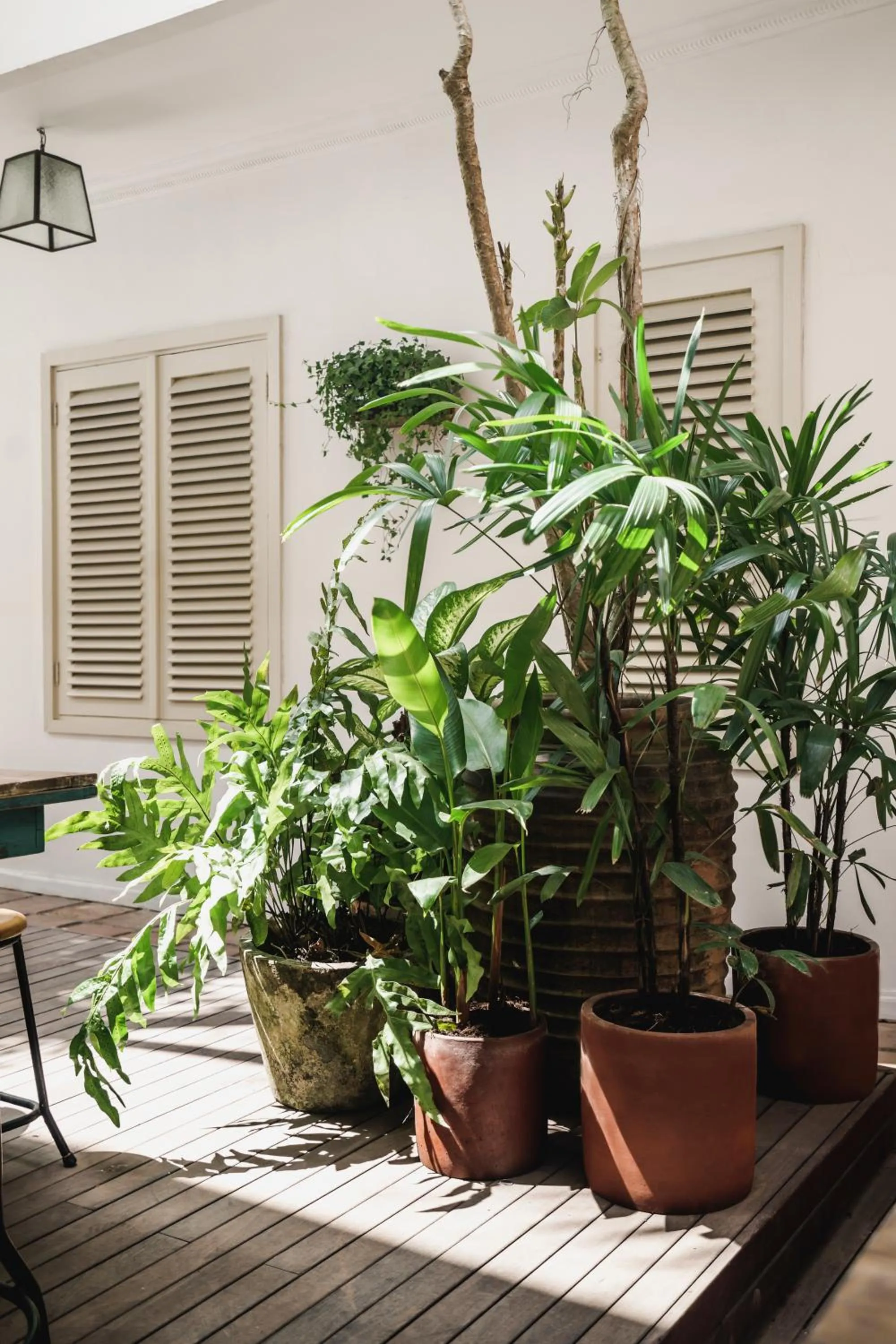 Day in Brown Feather Hotel