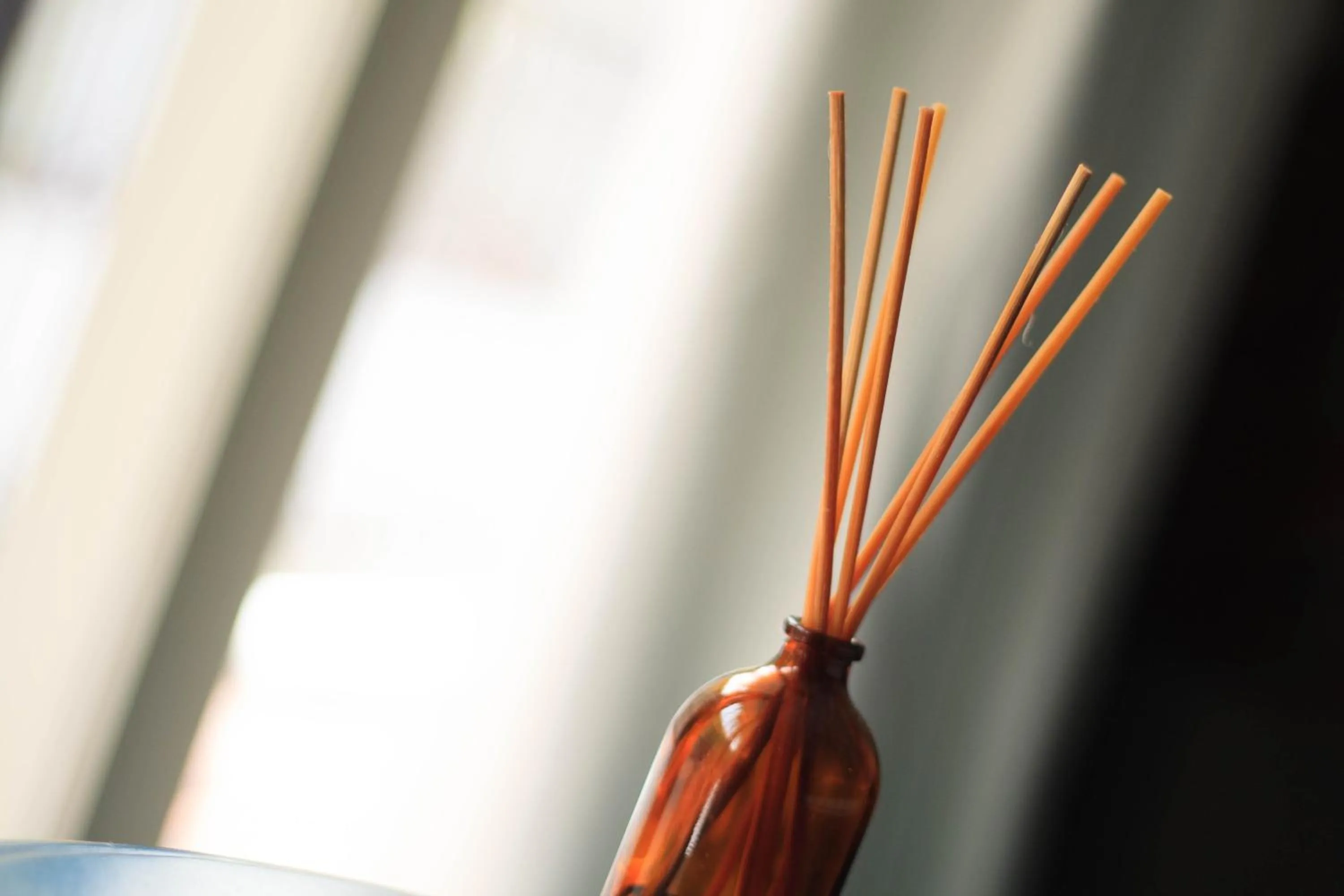 Other in Brown Feather Hotel