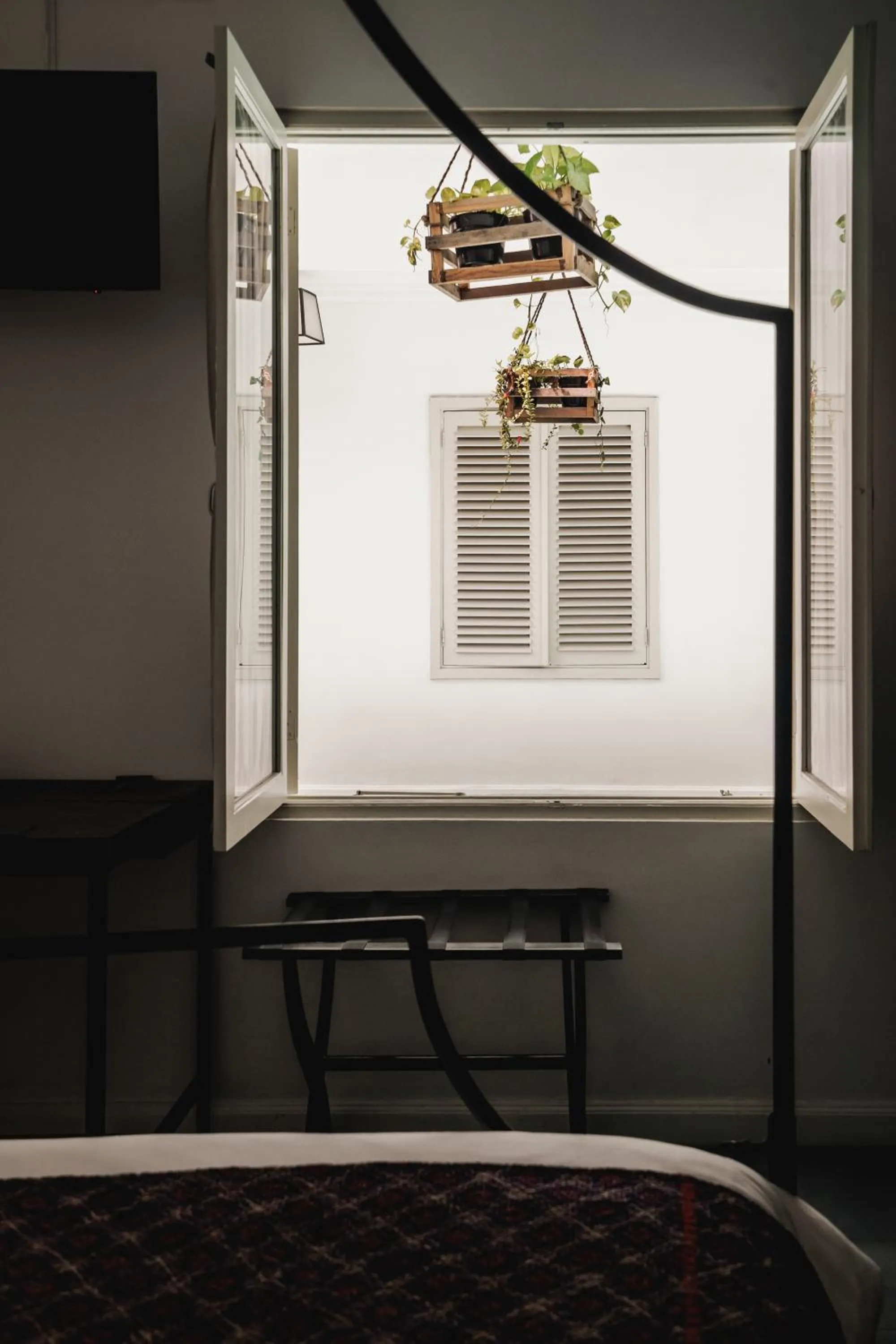 Seating area in Brown Feather Hotel