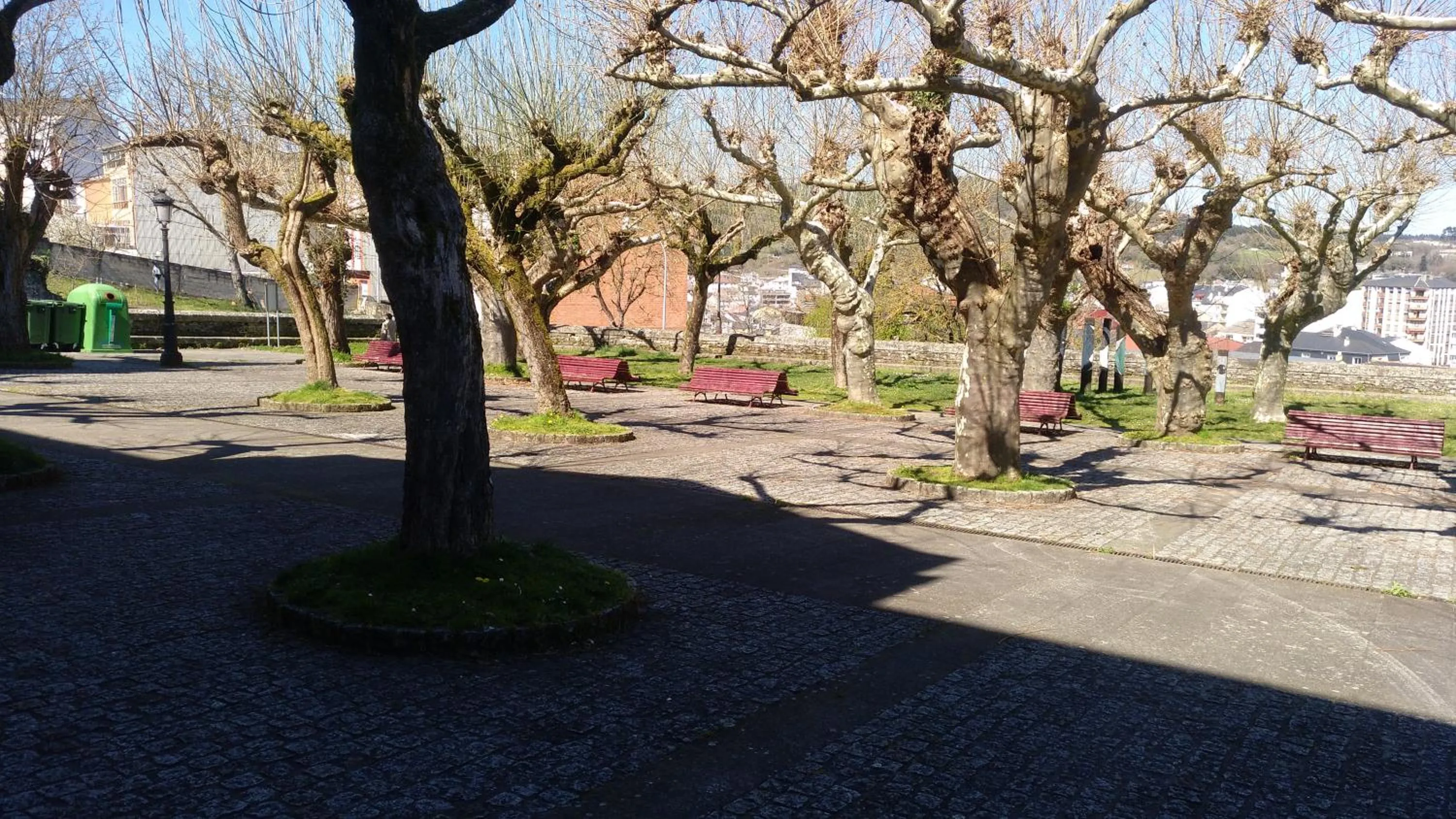 Garden in Travesia Rooms