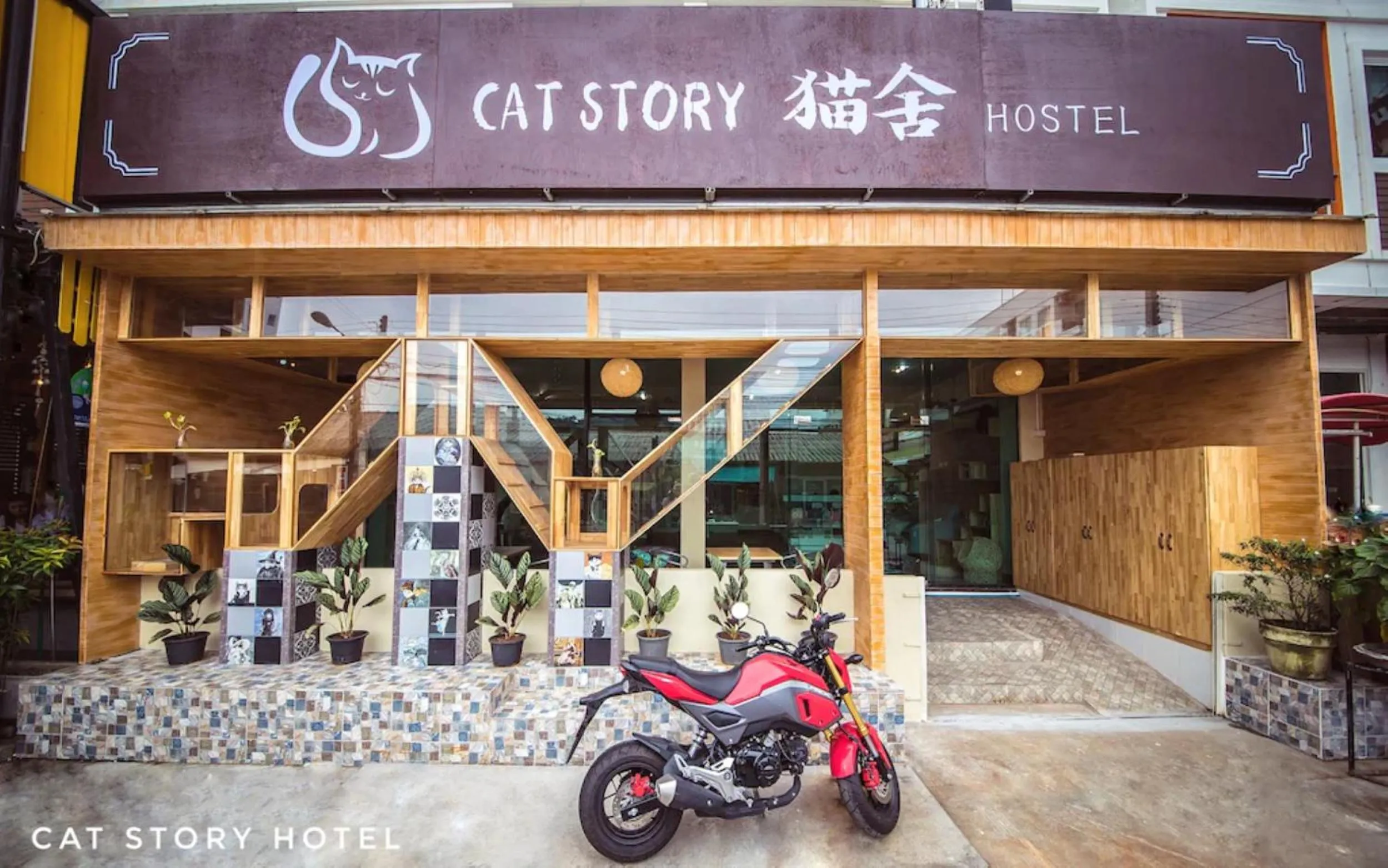 Property building in Cat Story Hotel