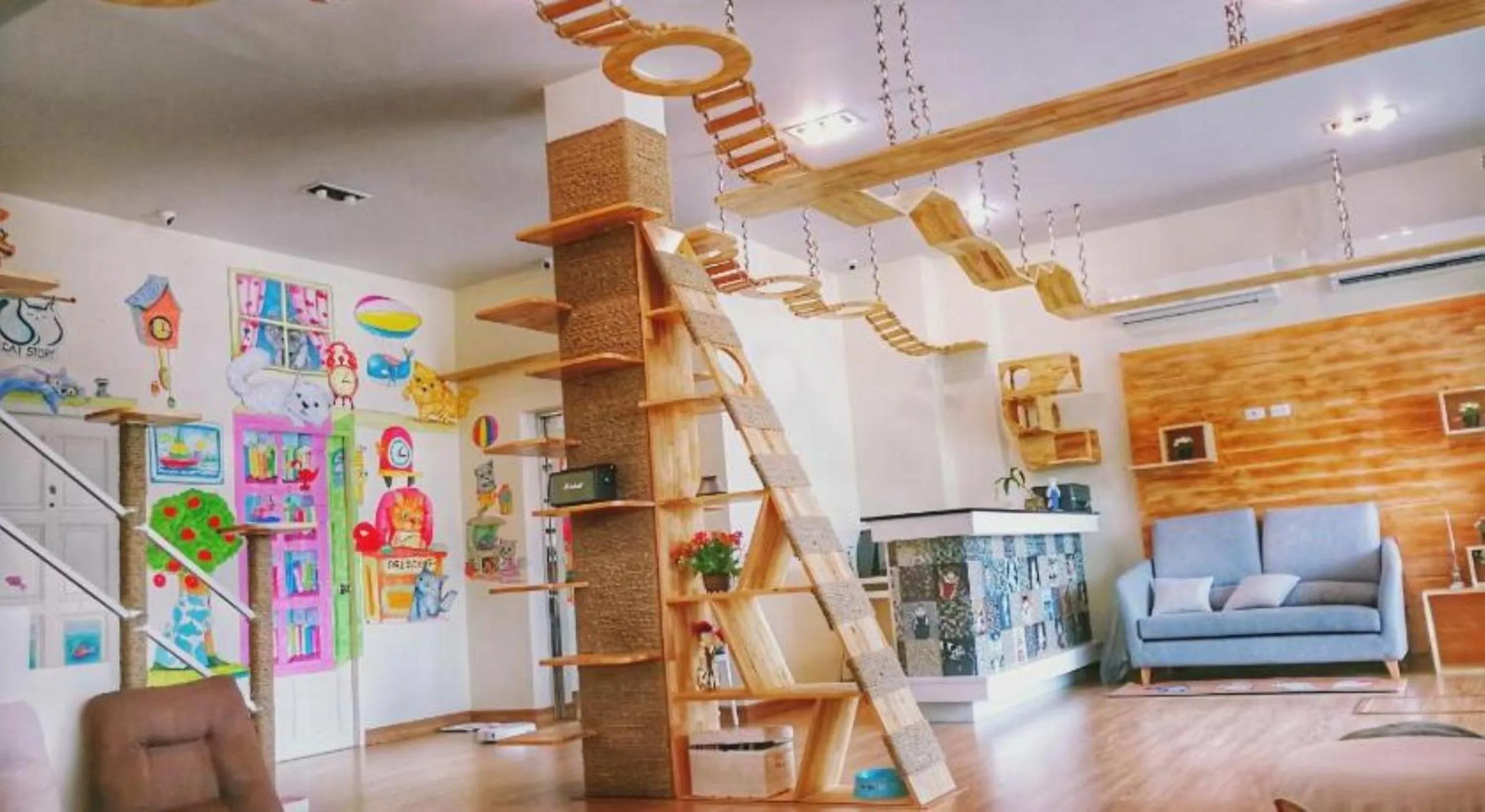 Lobby or reception in Cat Story Hotel