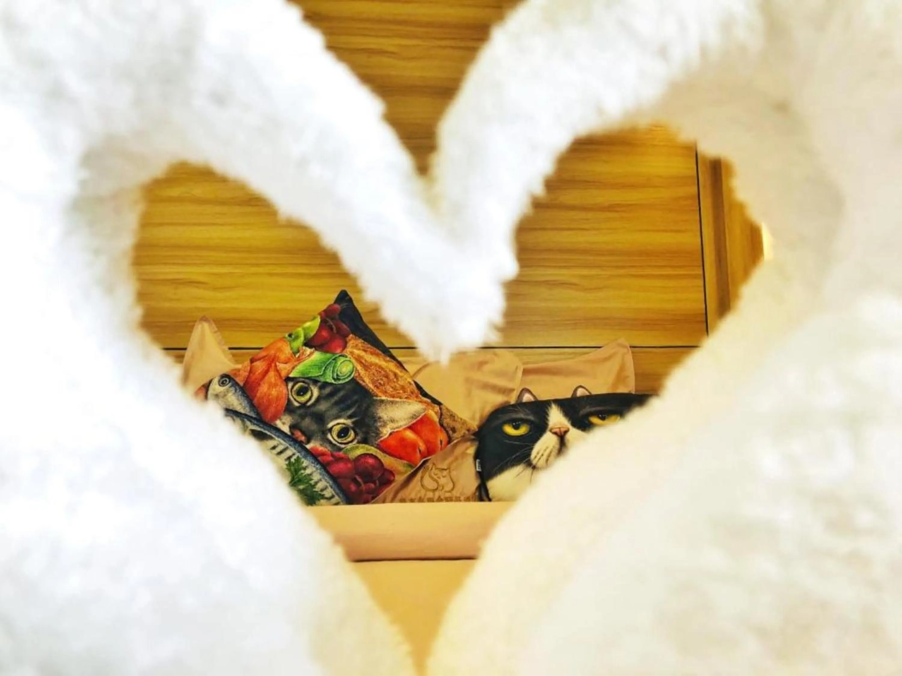 Bedroom in Cat Story Hotel