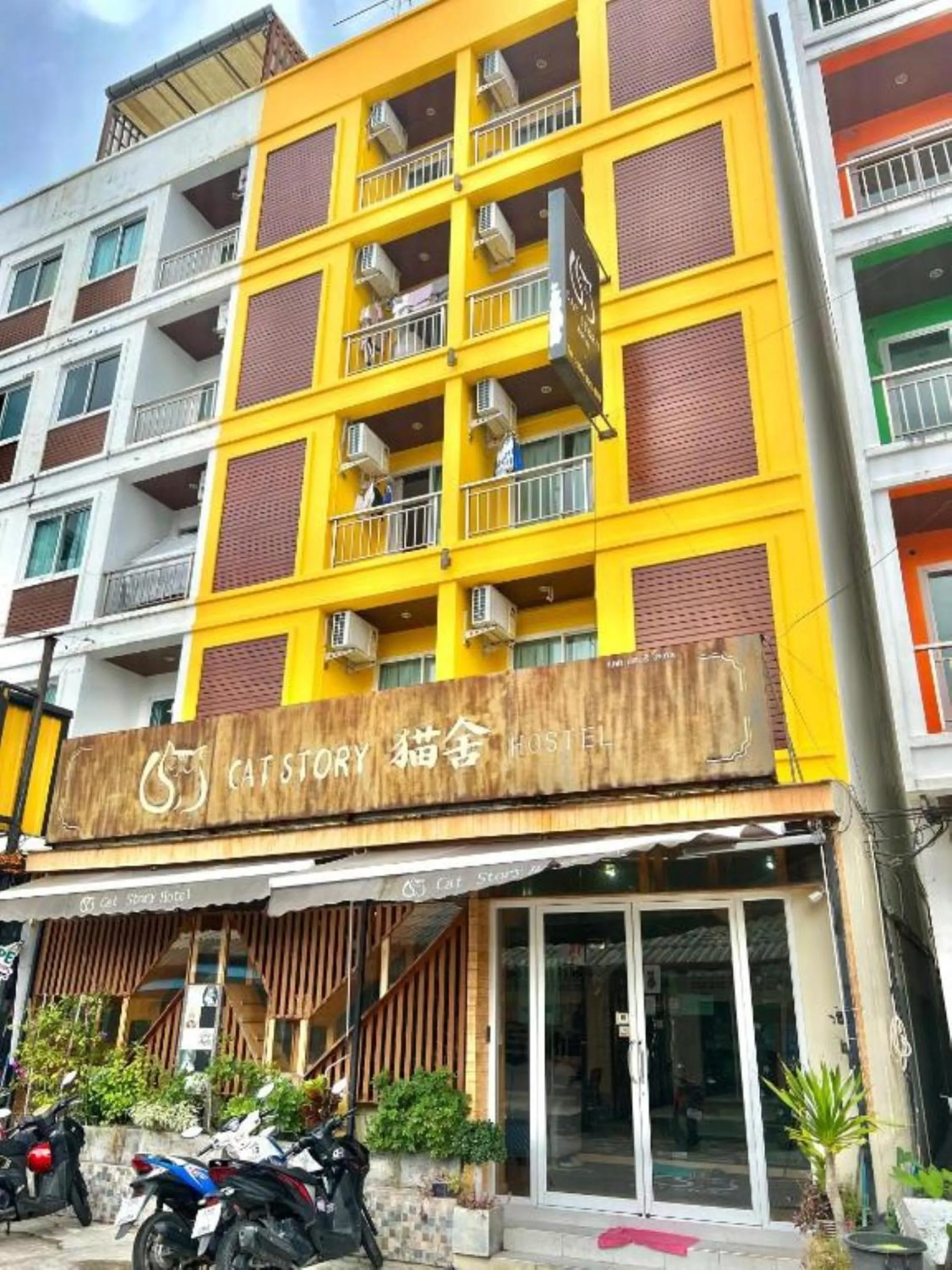 Property building in Cat Story Hotel