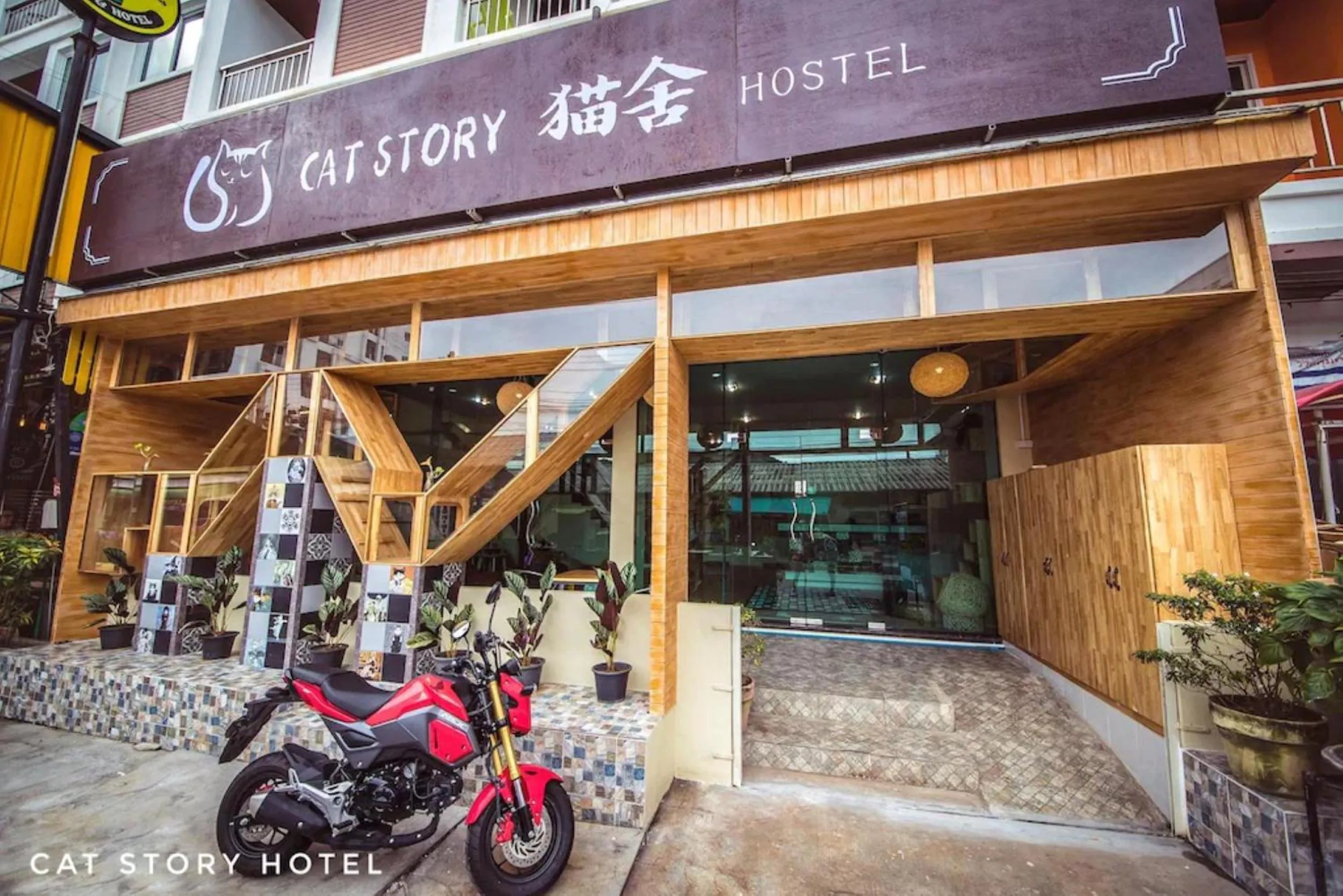 Property building in Cat Story Hotel