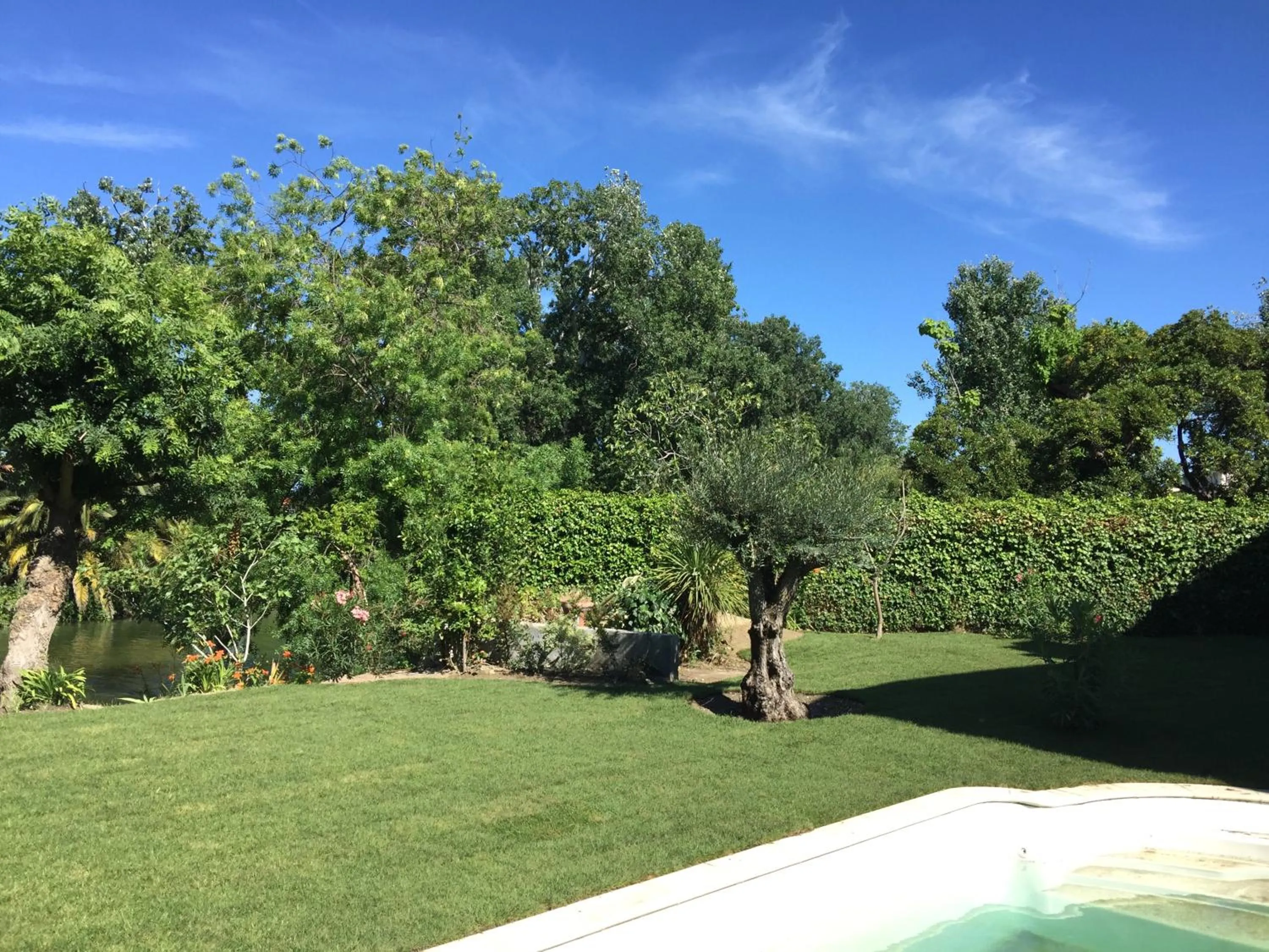 Garden in Villa Louise-Rose