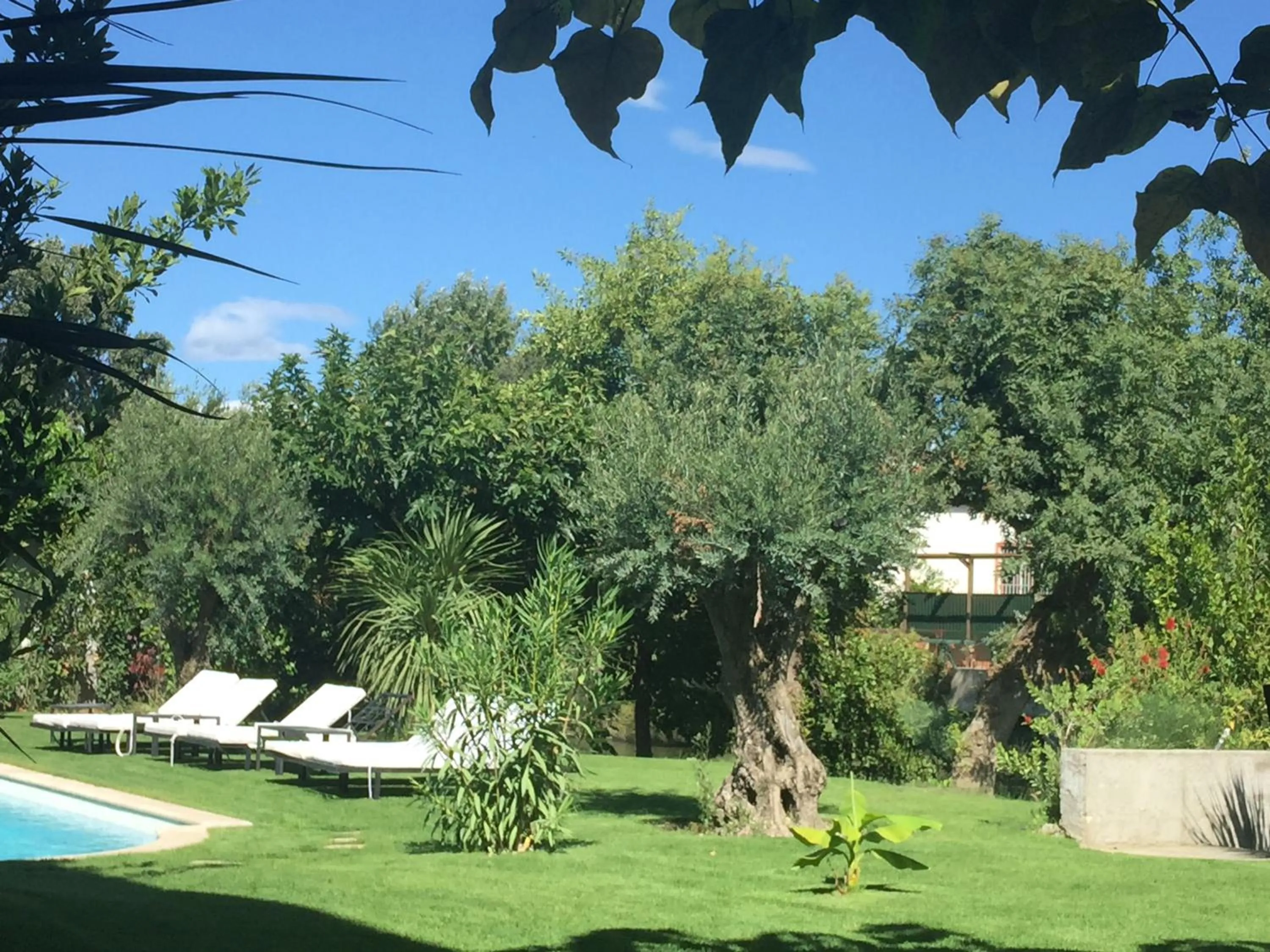 Garden in Villa Louise-Rose