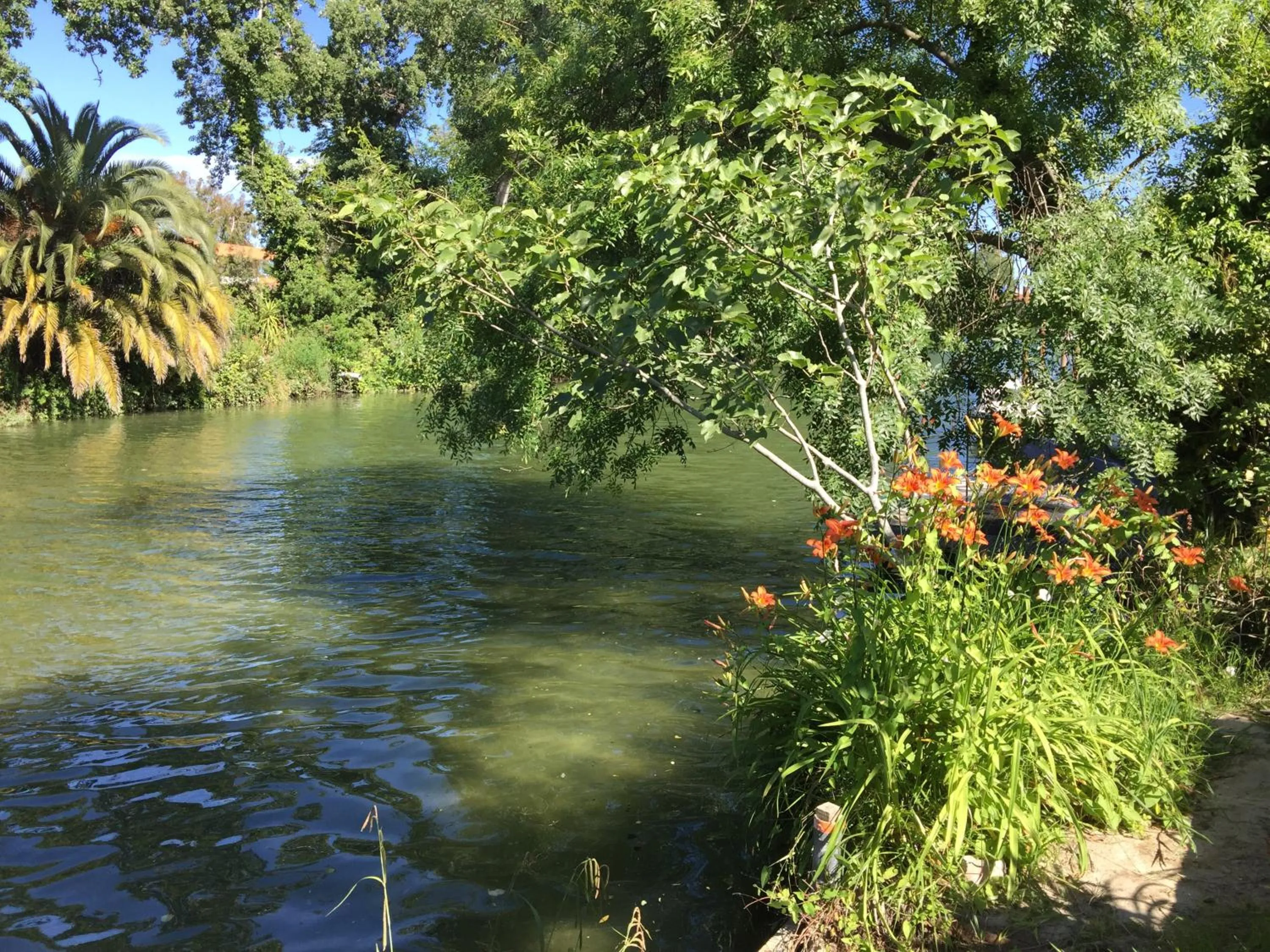 Natural landscape in Villa Louise-Rose