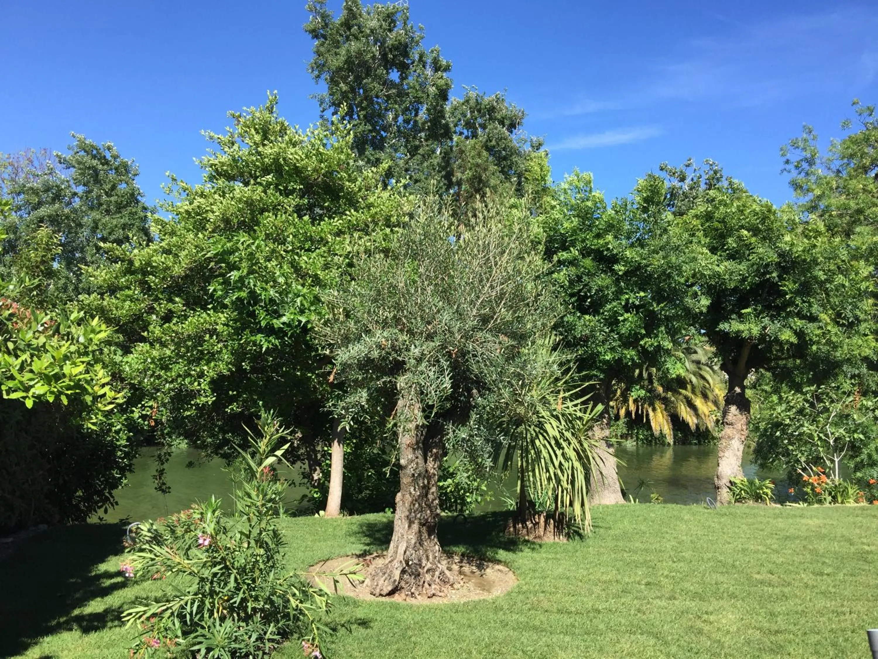 River view in Villa Louise-Rose