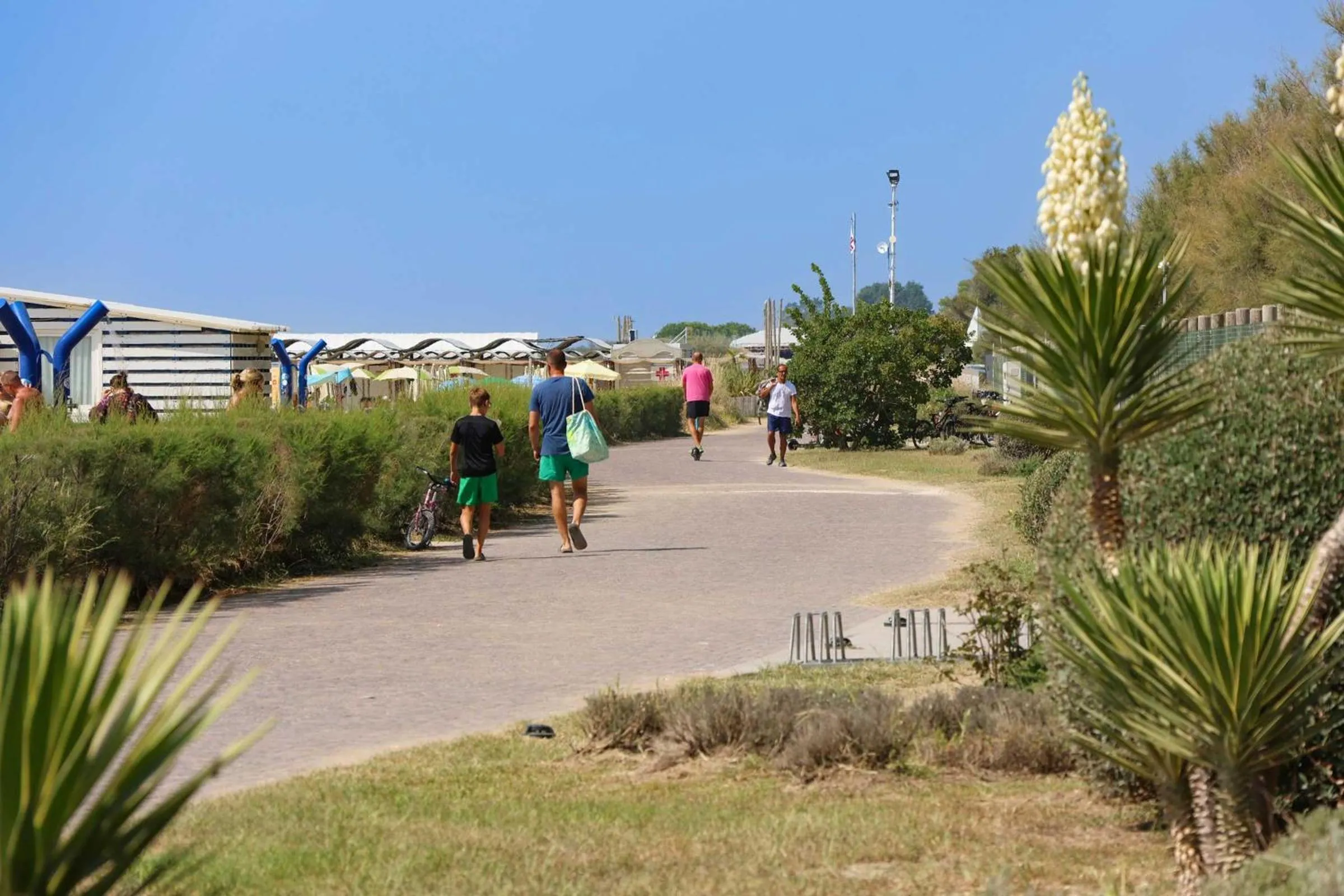 Sea view in Camping Lido
