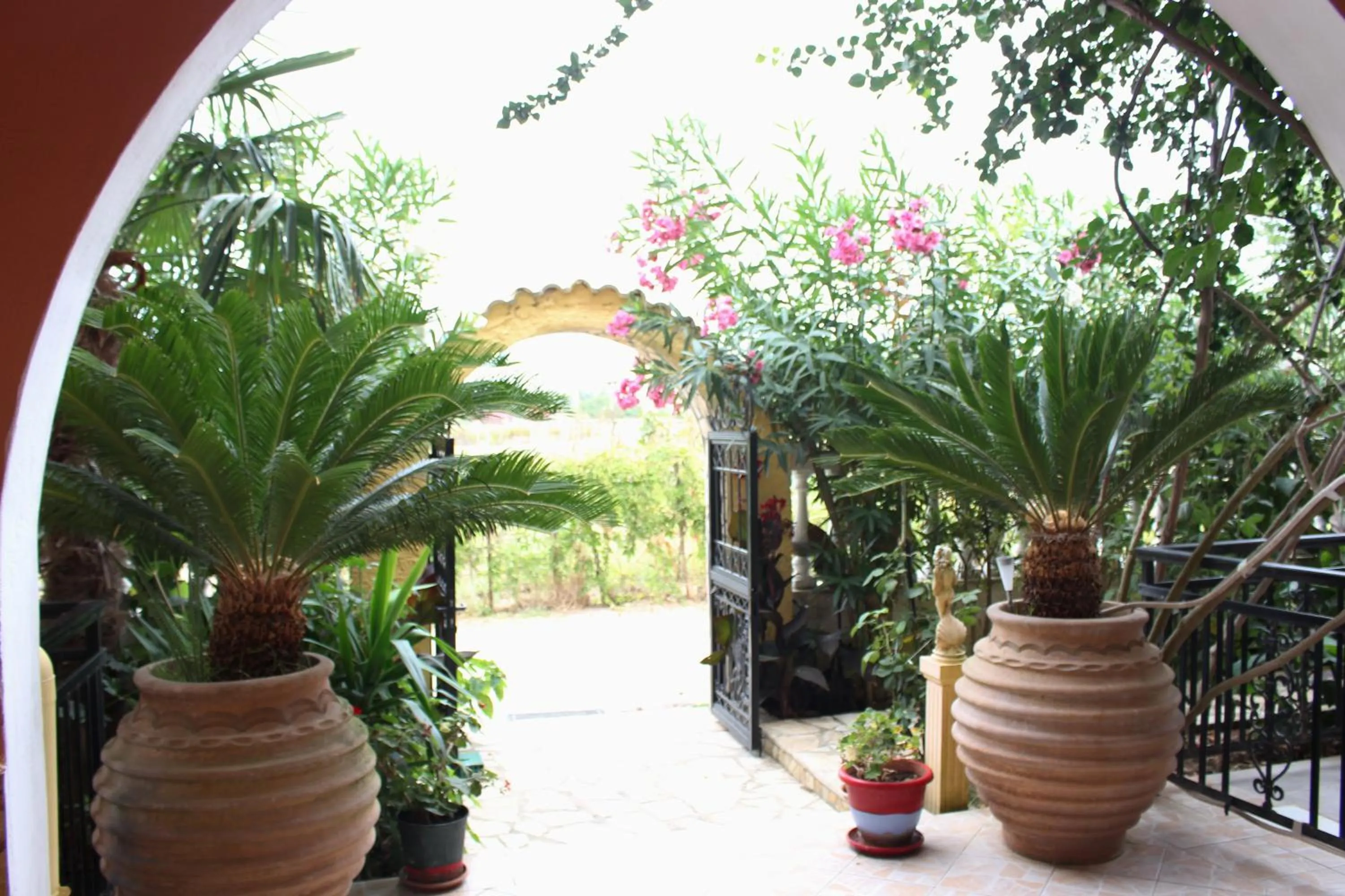 Garden in Villa Nefeli