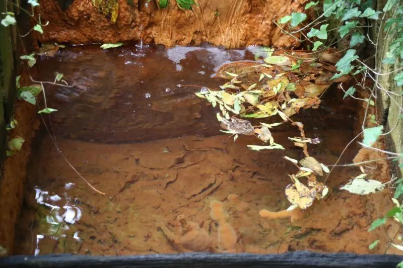Area and facilities in Hotel Schneider-Hof self check-in kostenlos Parken nähe Golfplatz und Vitasol