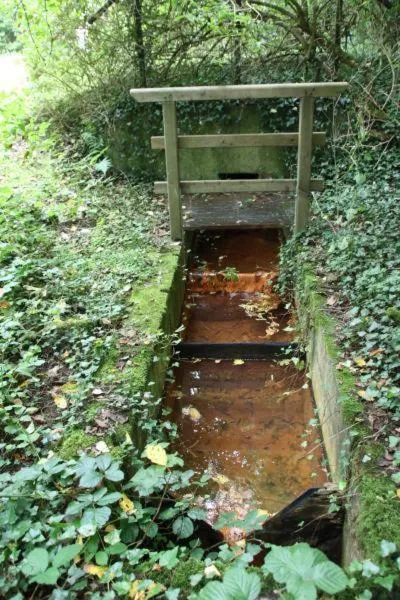 Area and facilities in Hotel Schneider-Hof self check-in kostenlos Parken nähe Golfplatz und Vitasol