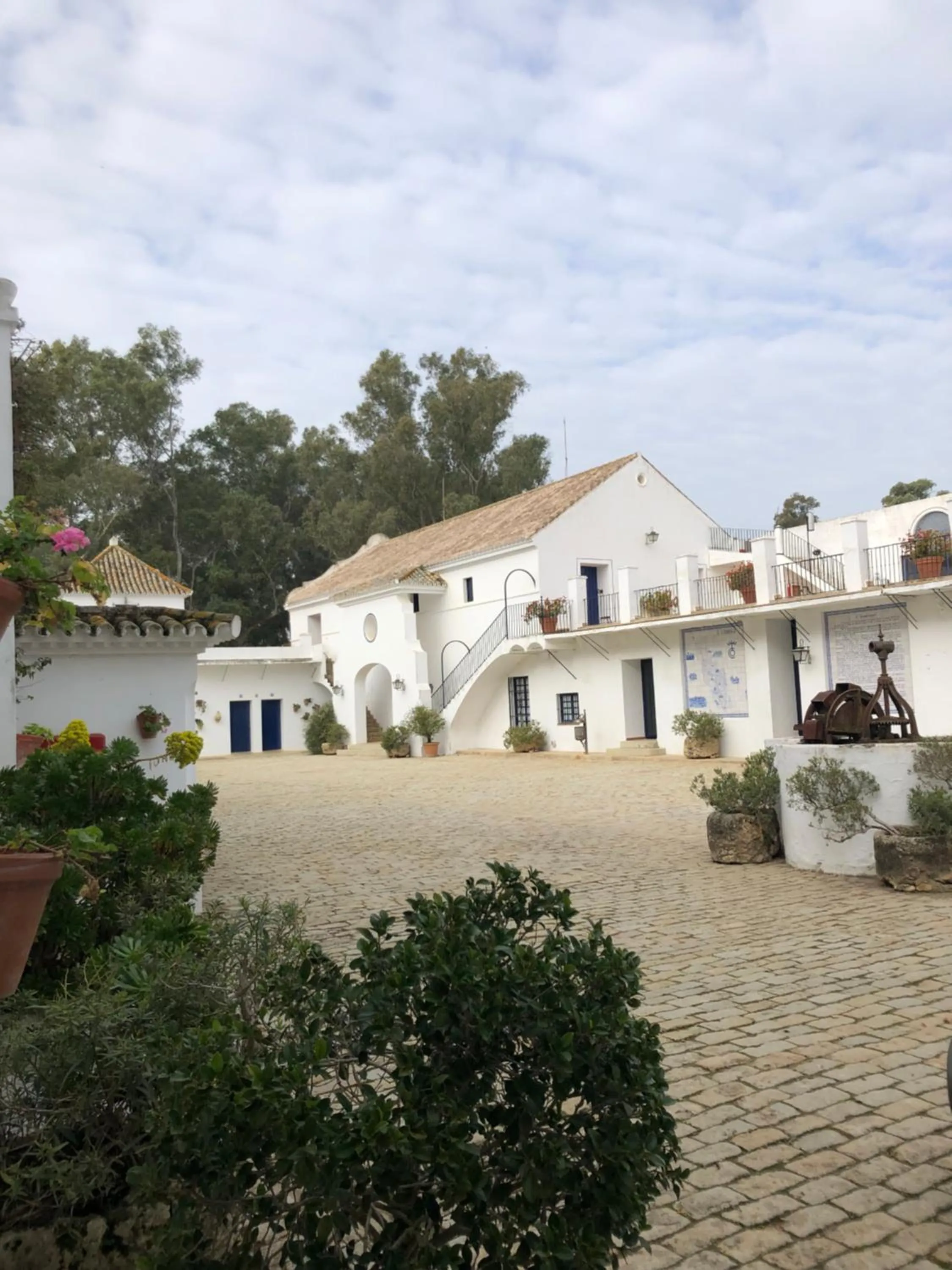 Patio in Hotel Cortijo El Esparragal