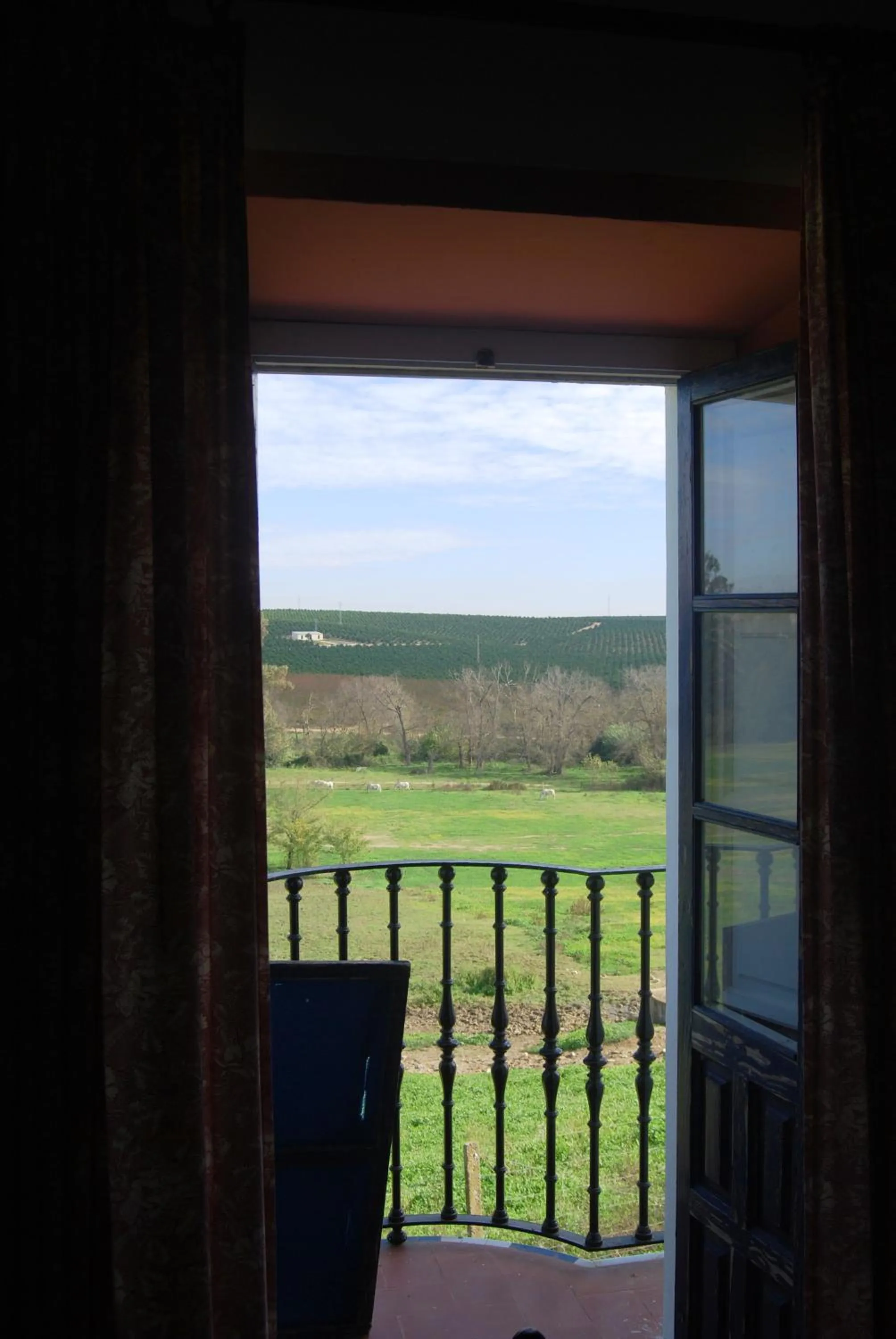 Garden view in Hotel Cortijo El Esparragal