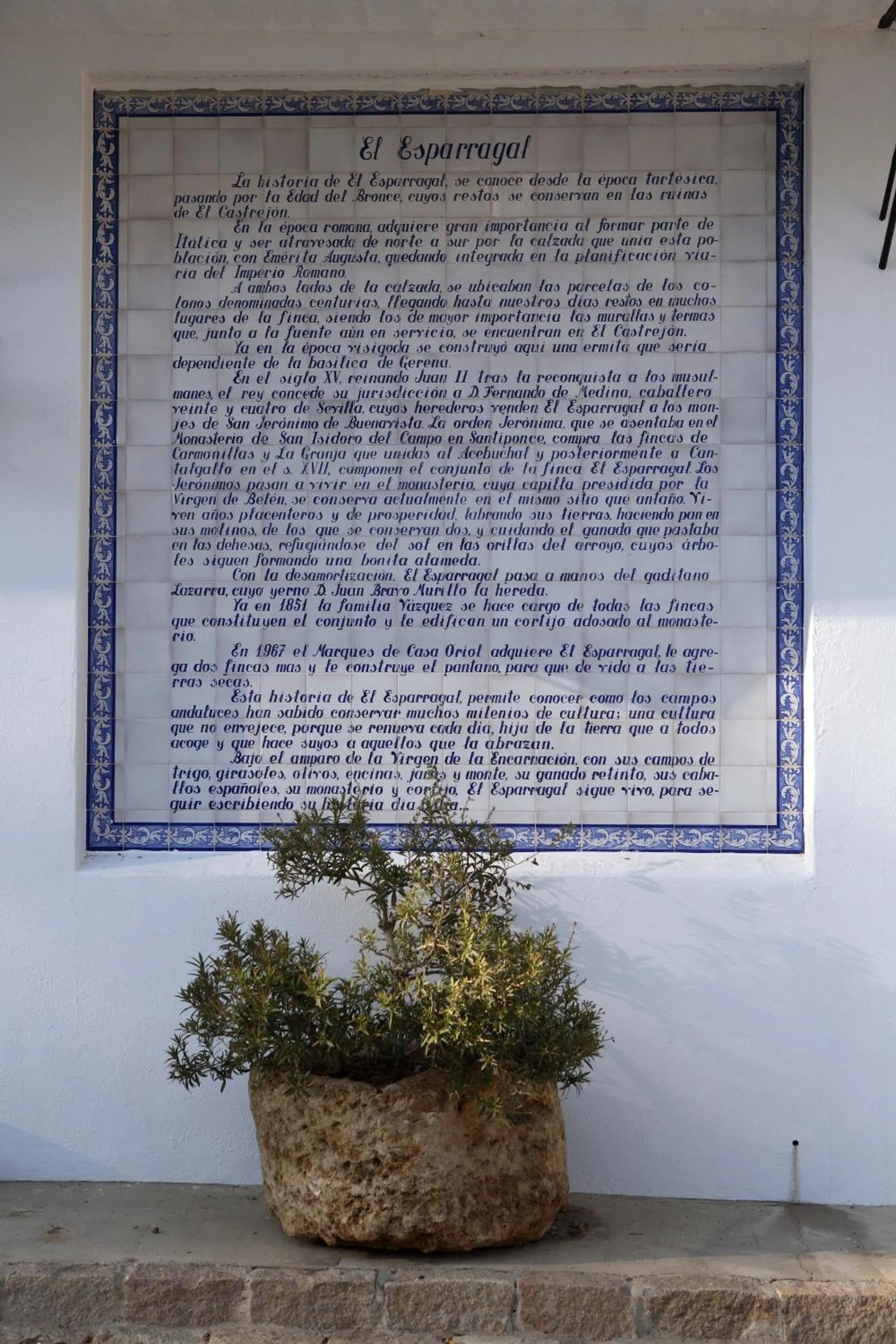 Decorative detail in Hotel Cortijo El Esparragal