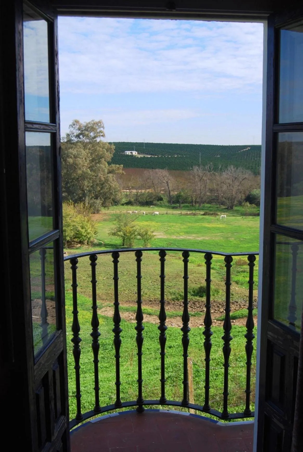 Garden view in Hotel Cortijo El Esparragal