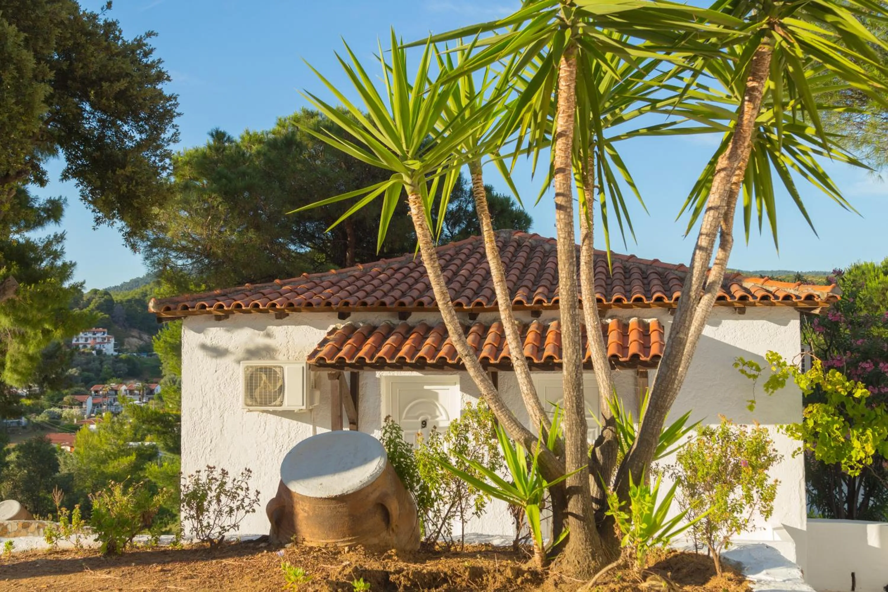 Garden in Villa Elpiniki