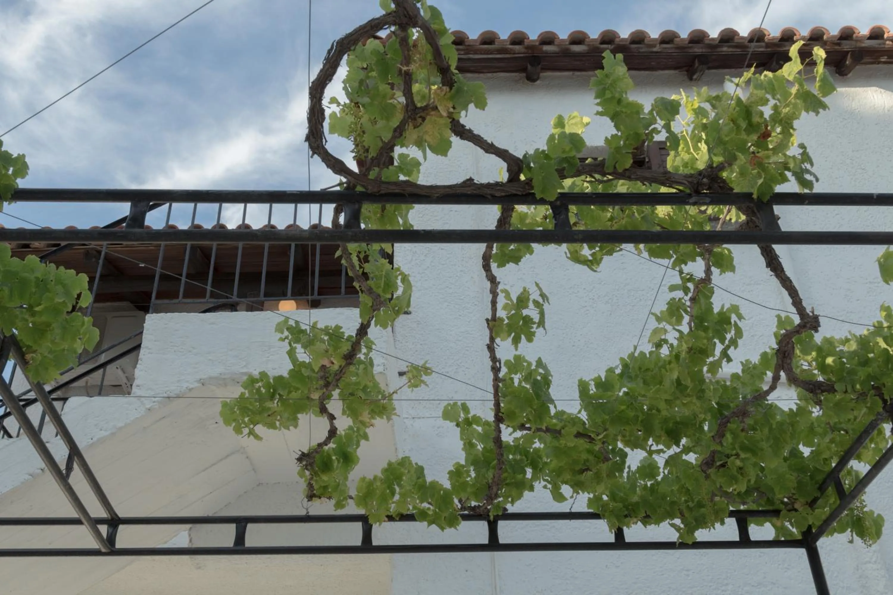 Property building in Villa Elpiniki