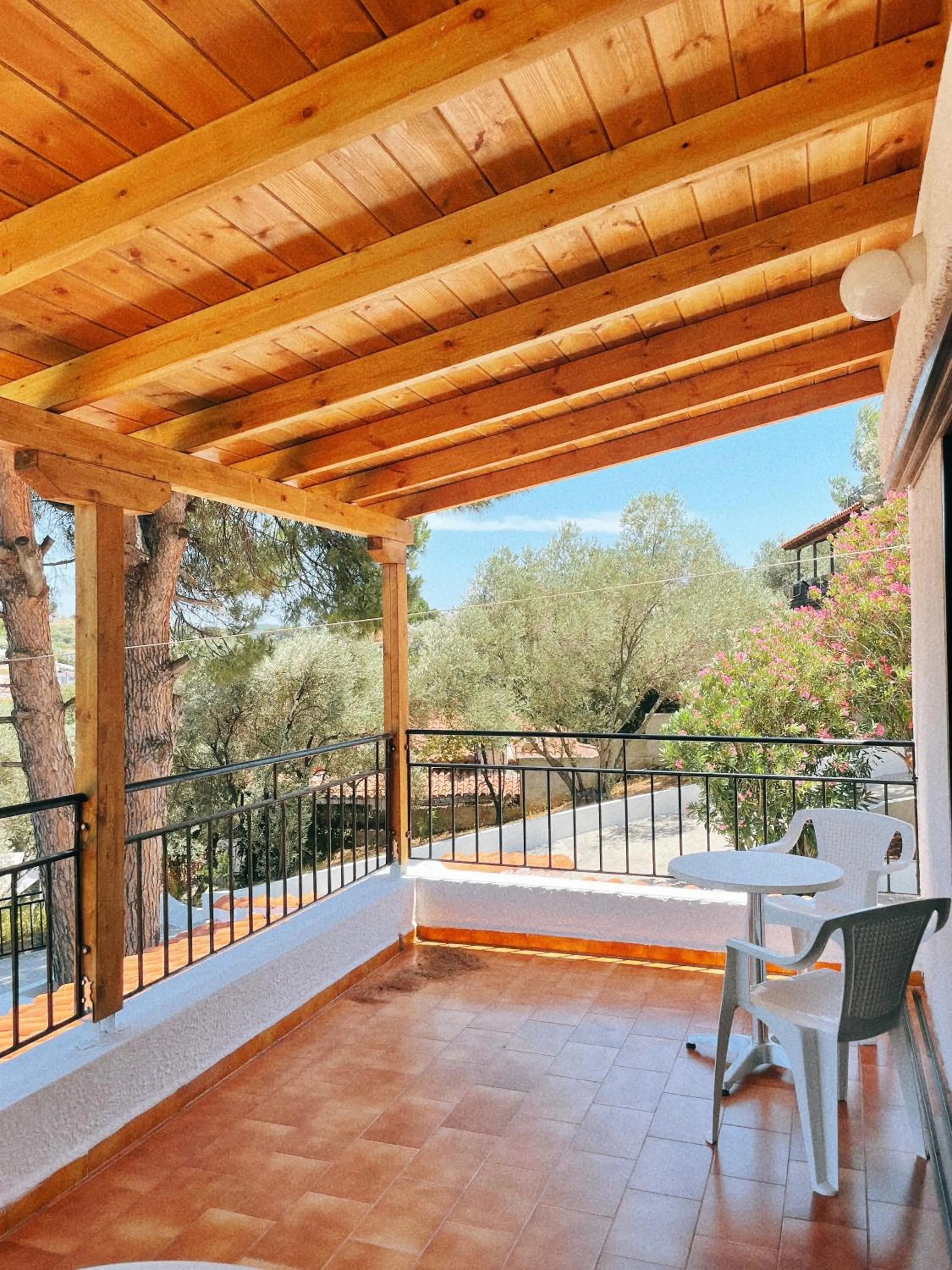 Balcony/Terrace in Villa Elpiniki