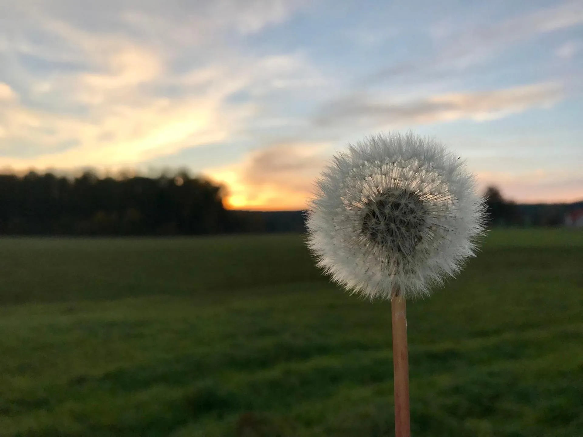 Natural landscape in Gästehaus Rössle