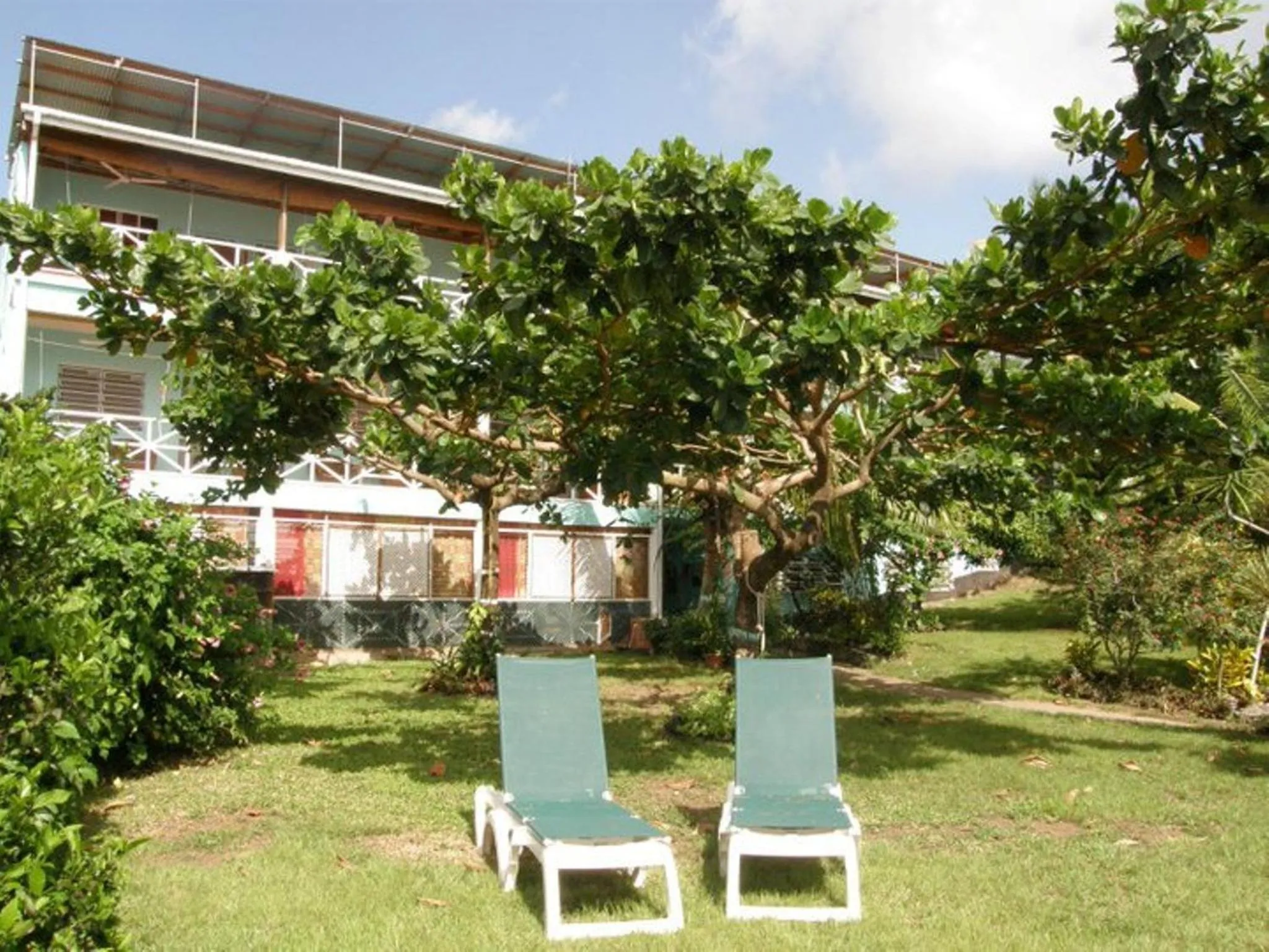 Garden in Tamarind Tree Hotel