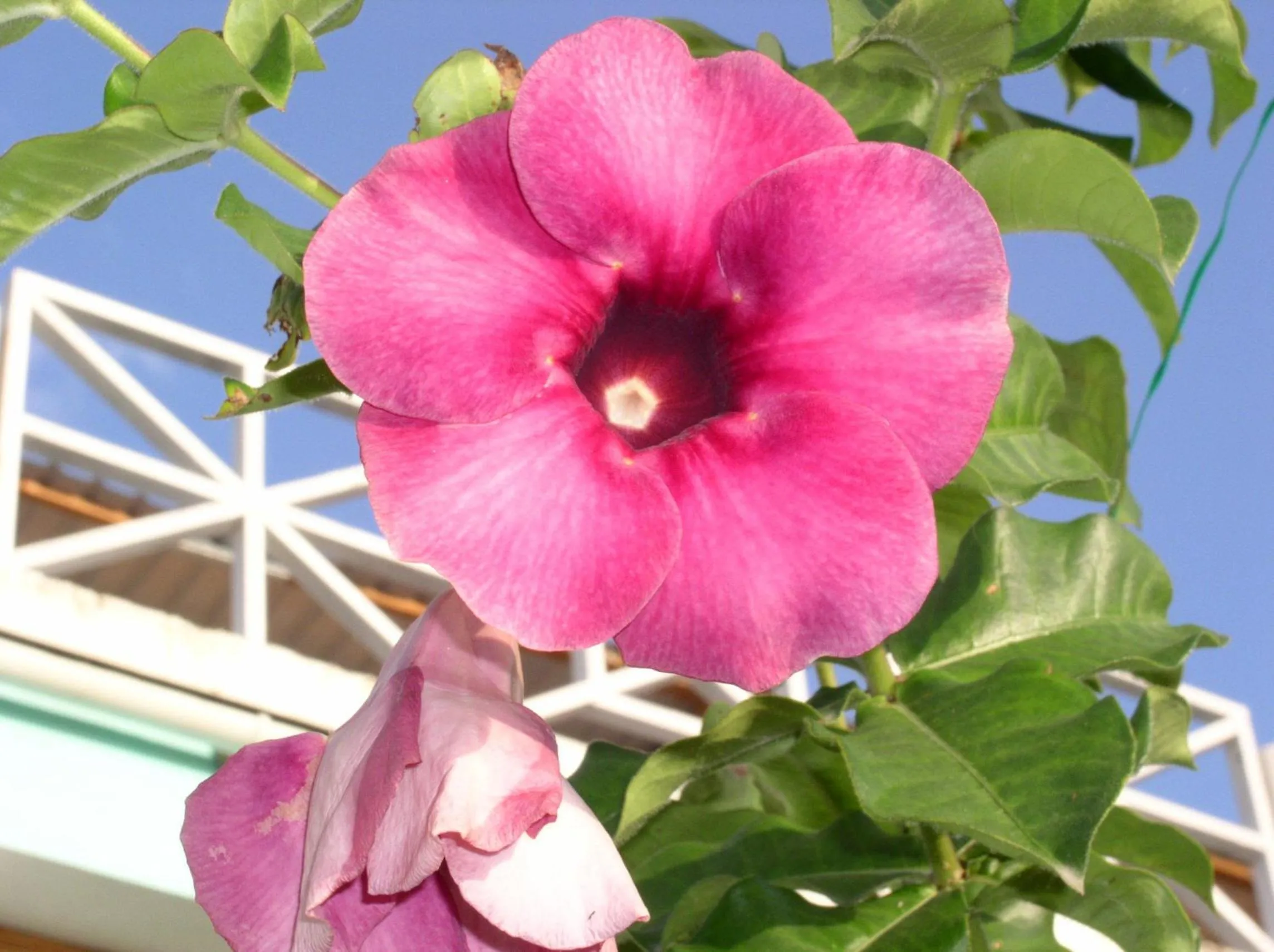 Other in Tamarind Tree Hotel