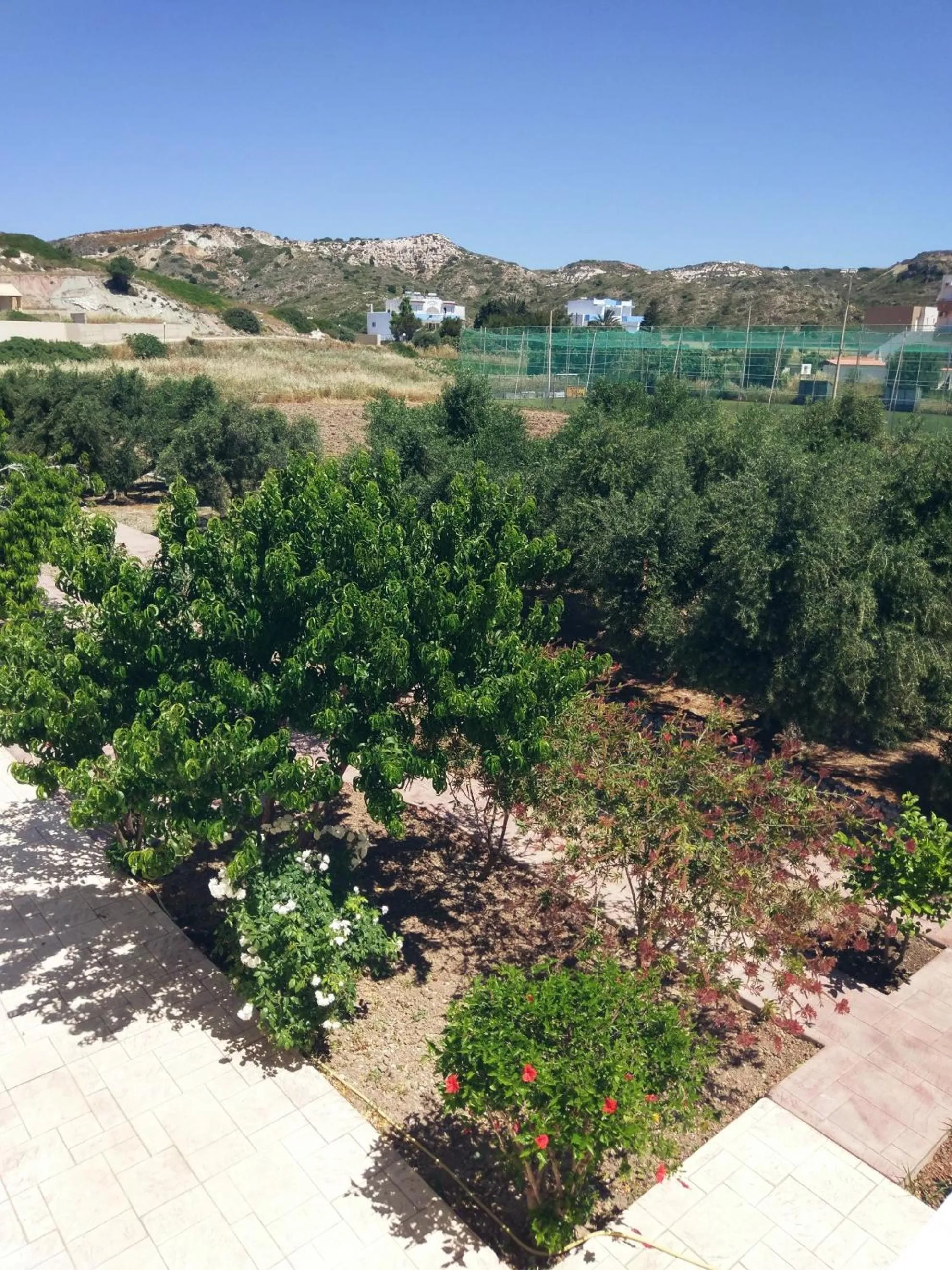 Garden in Eleni Hotel
