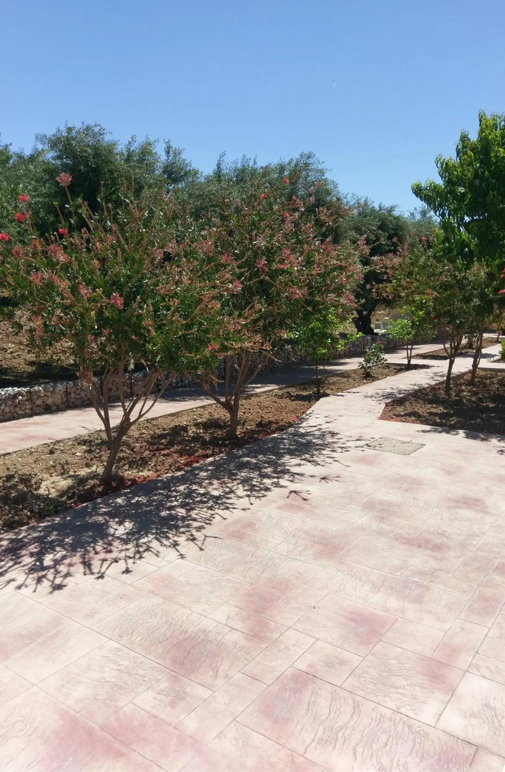 Garden in Eleni Hotel