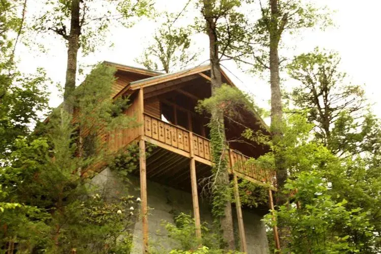 Bear Necessities Bear Necessities