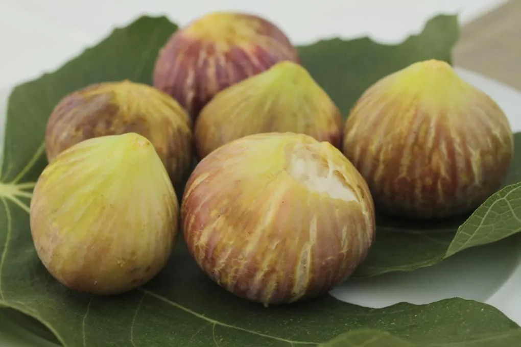 Food close-up in Mare Monte Luxury Suites