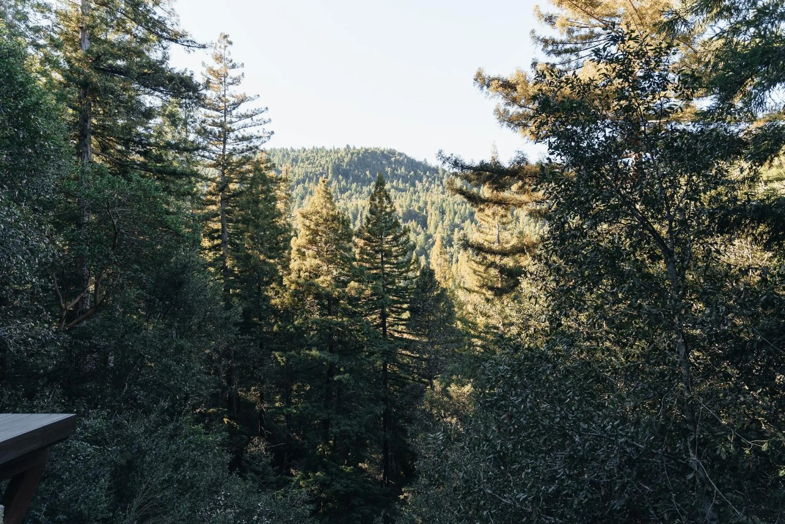 Natural landscape in Redwoods River Resort & Campground