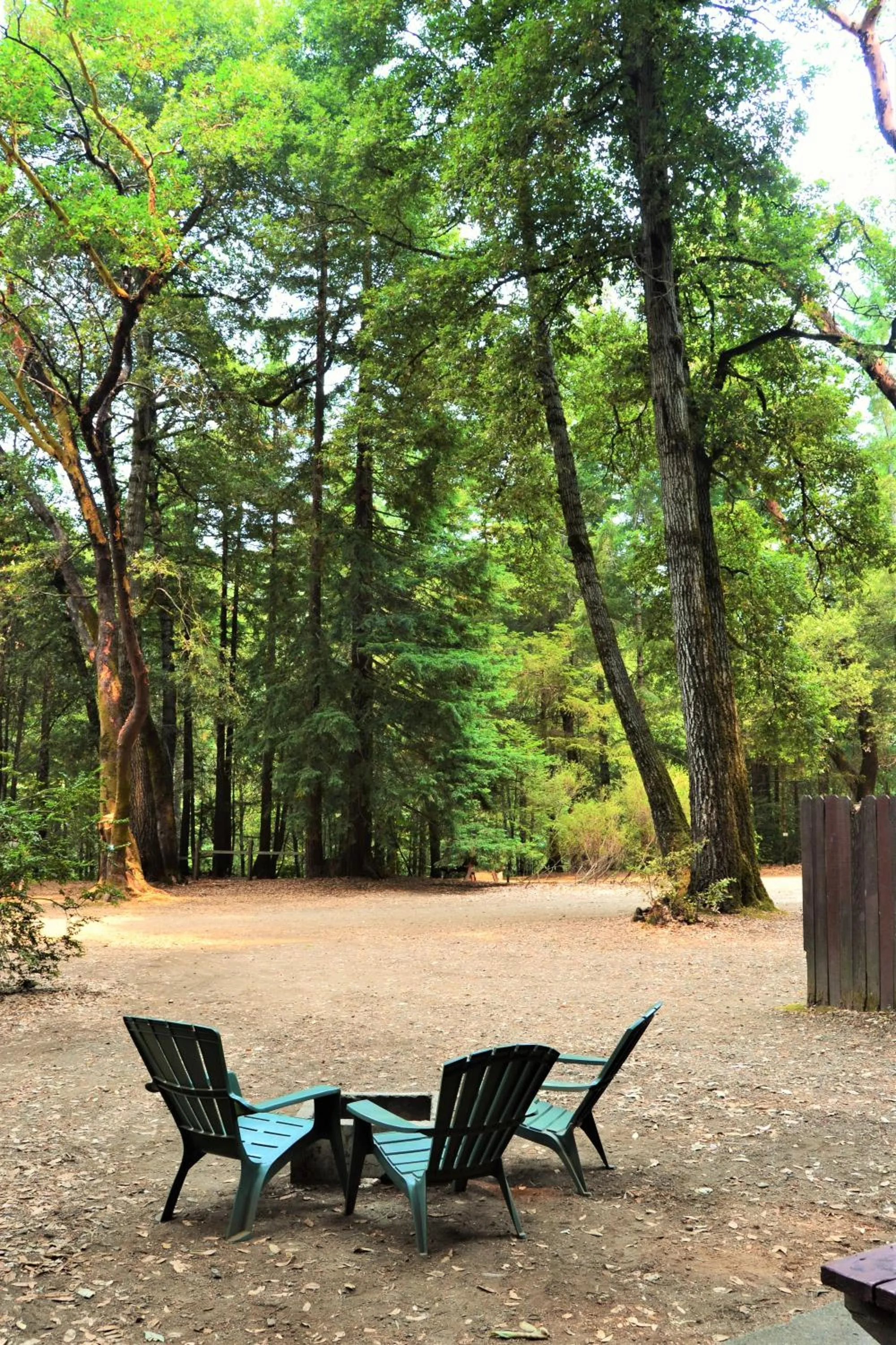 Patio in Redwoods River Resort & Campground