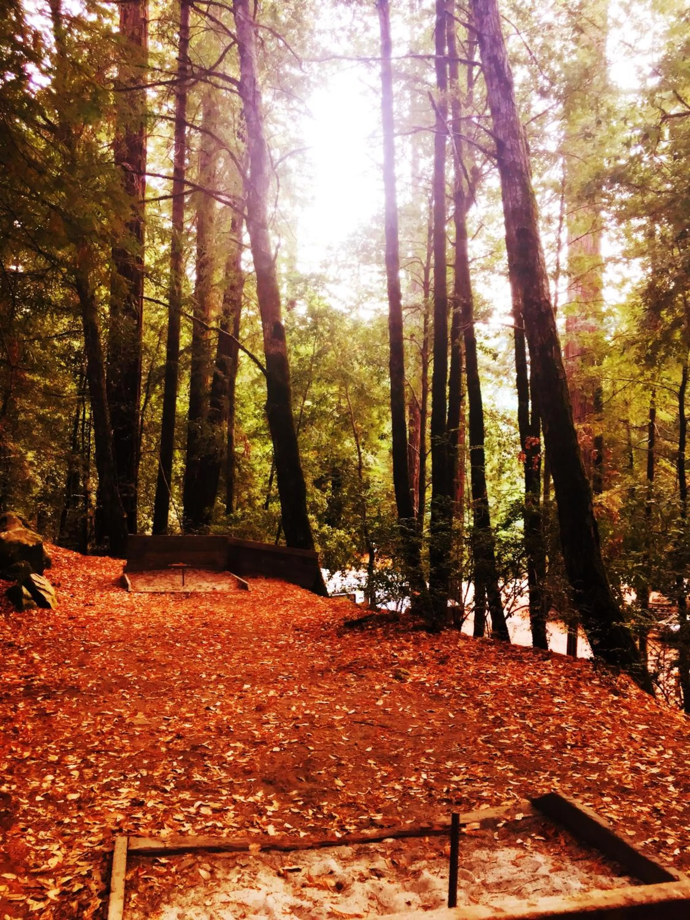 Activities in Redwoods River Resort & Campground