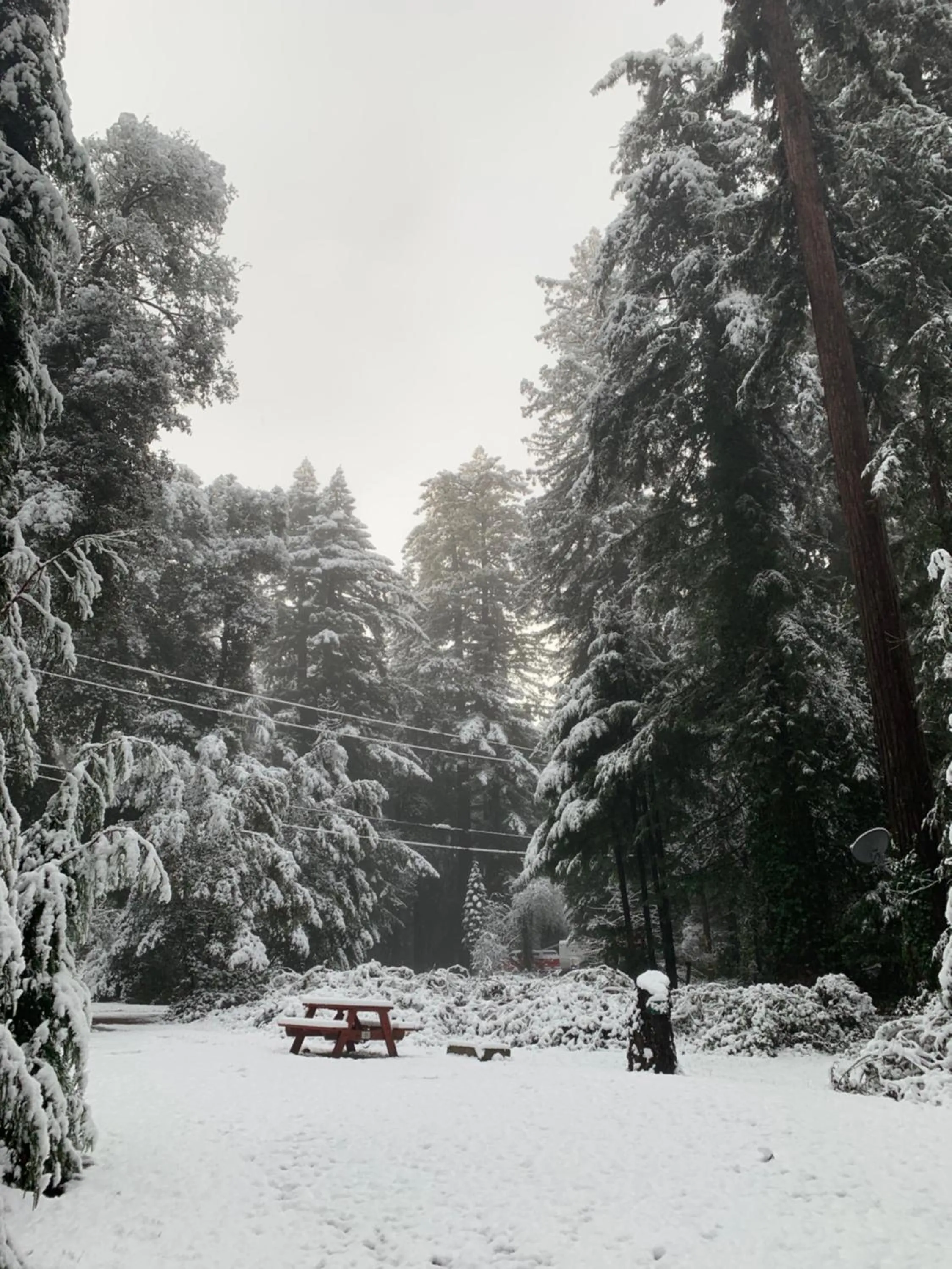 Natural landscape in Redwoods River Resort & Campground
