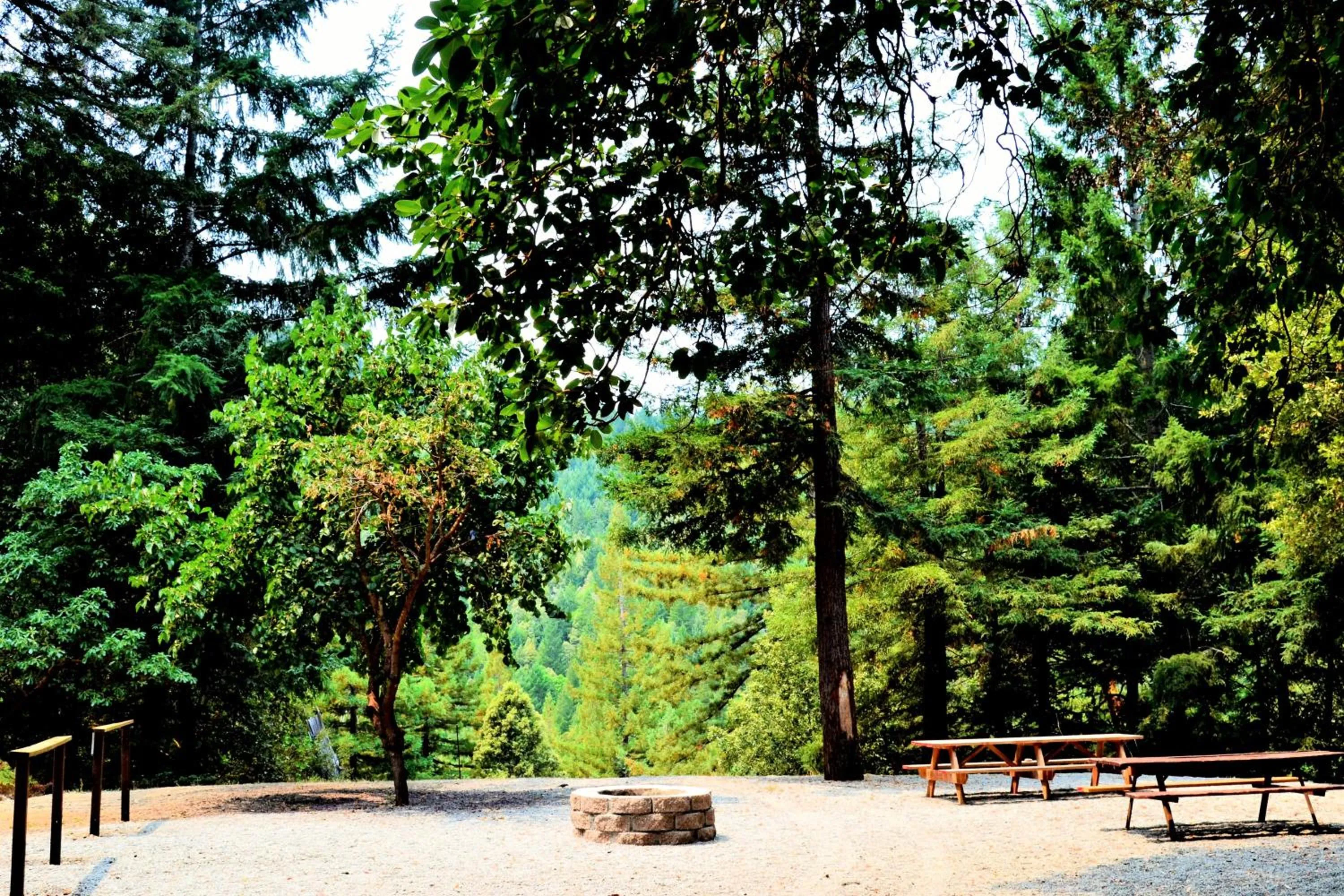 Natural landscape in Redwoods River Resort & Campground