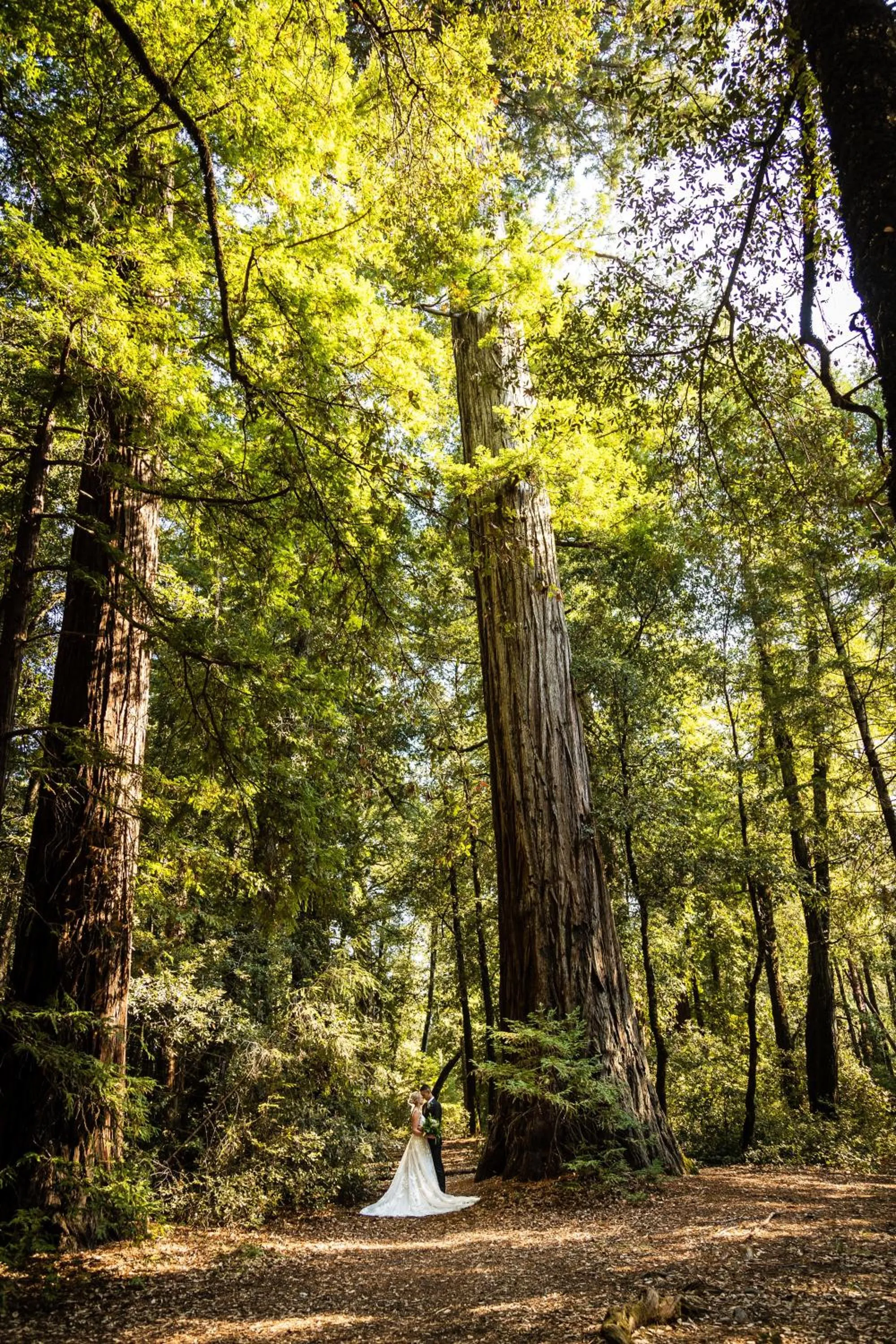 Natural landscape in Redwoods River Resort & Campground