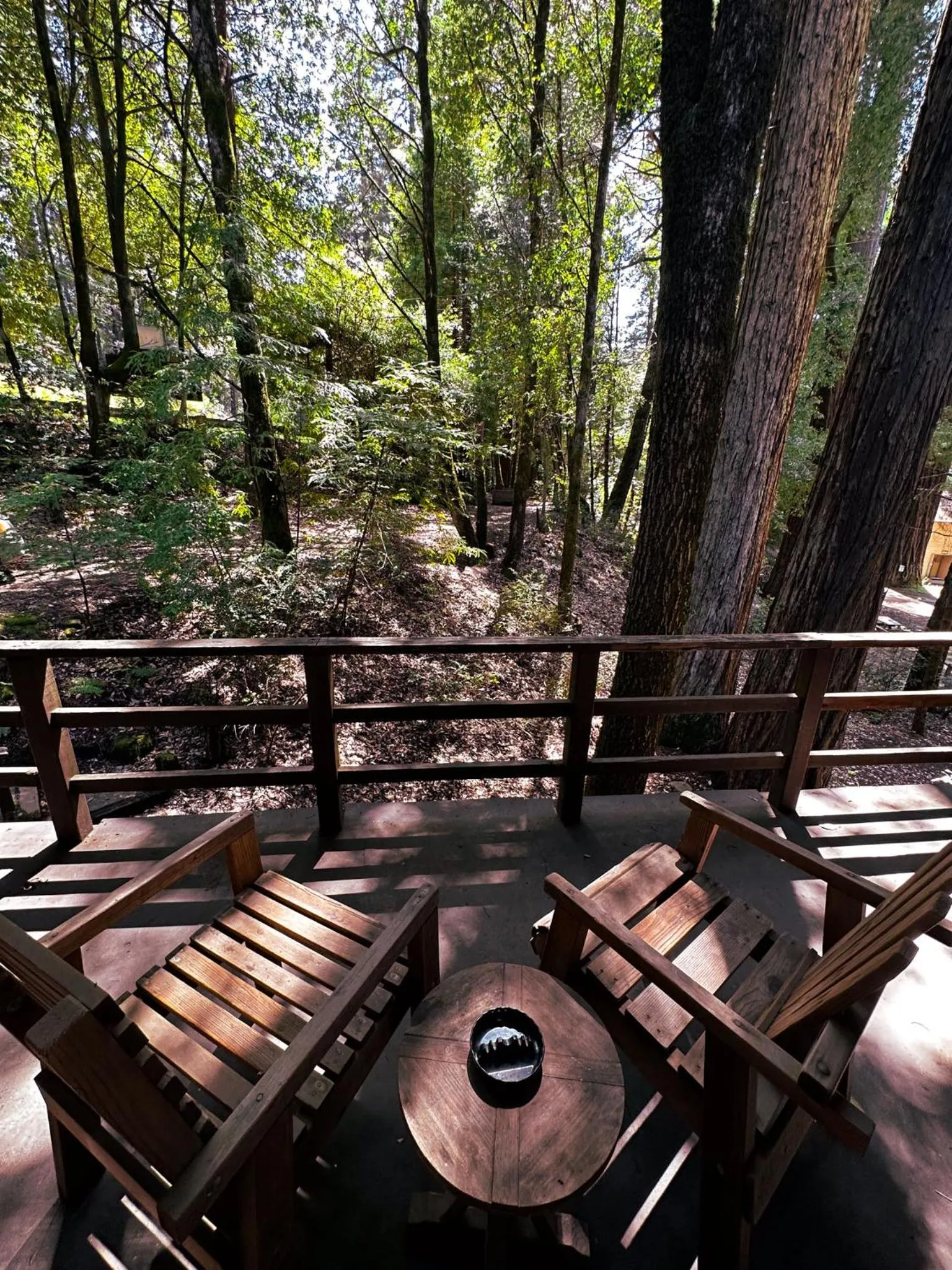 View (from property/room) in Redwoods River Resort & Campground