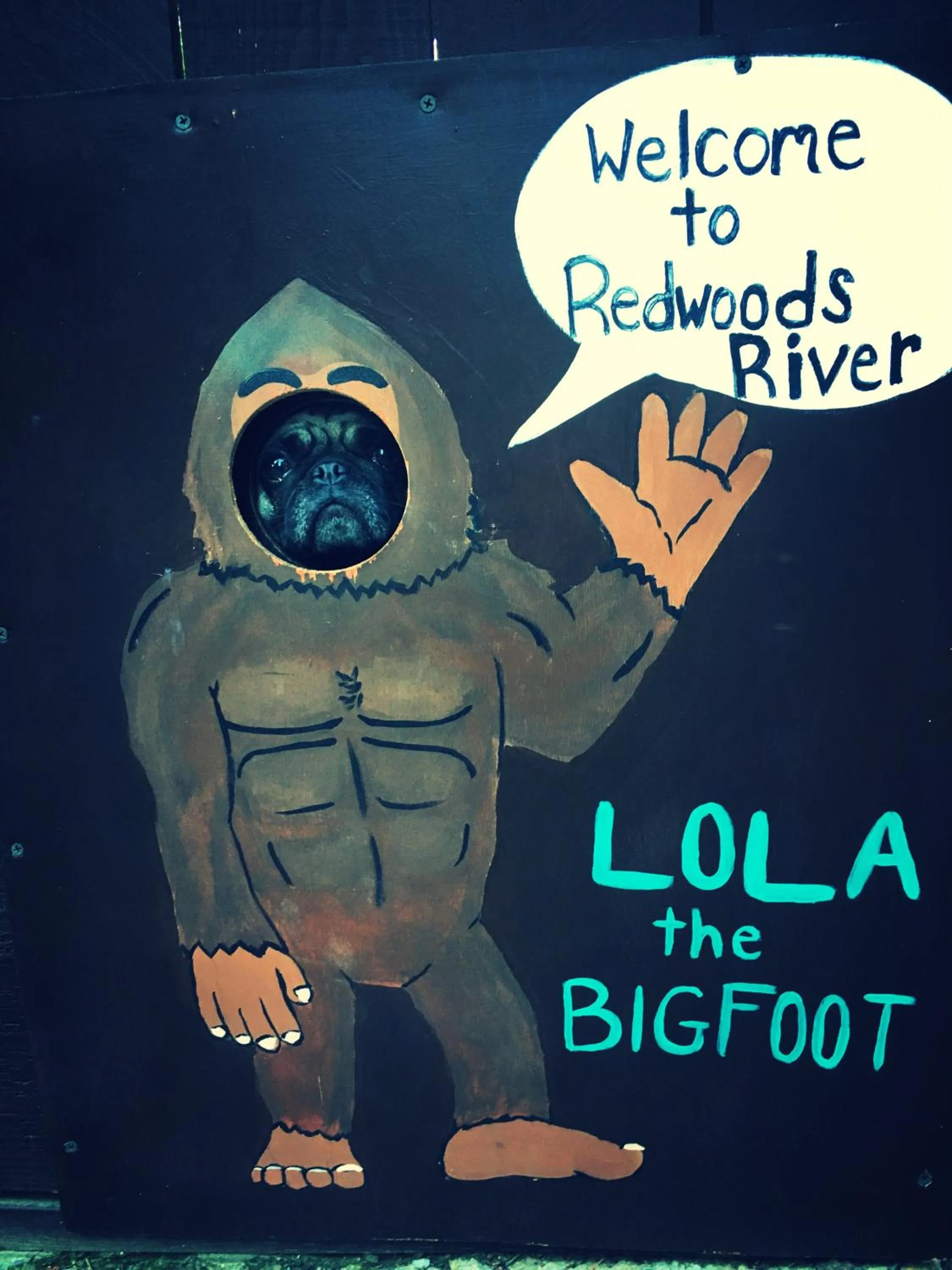 Pets in Redwoods River Resort & Campground