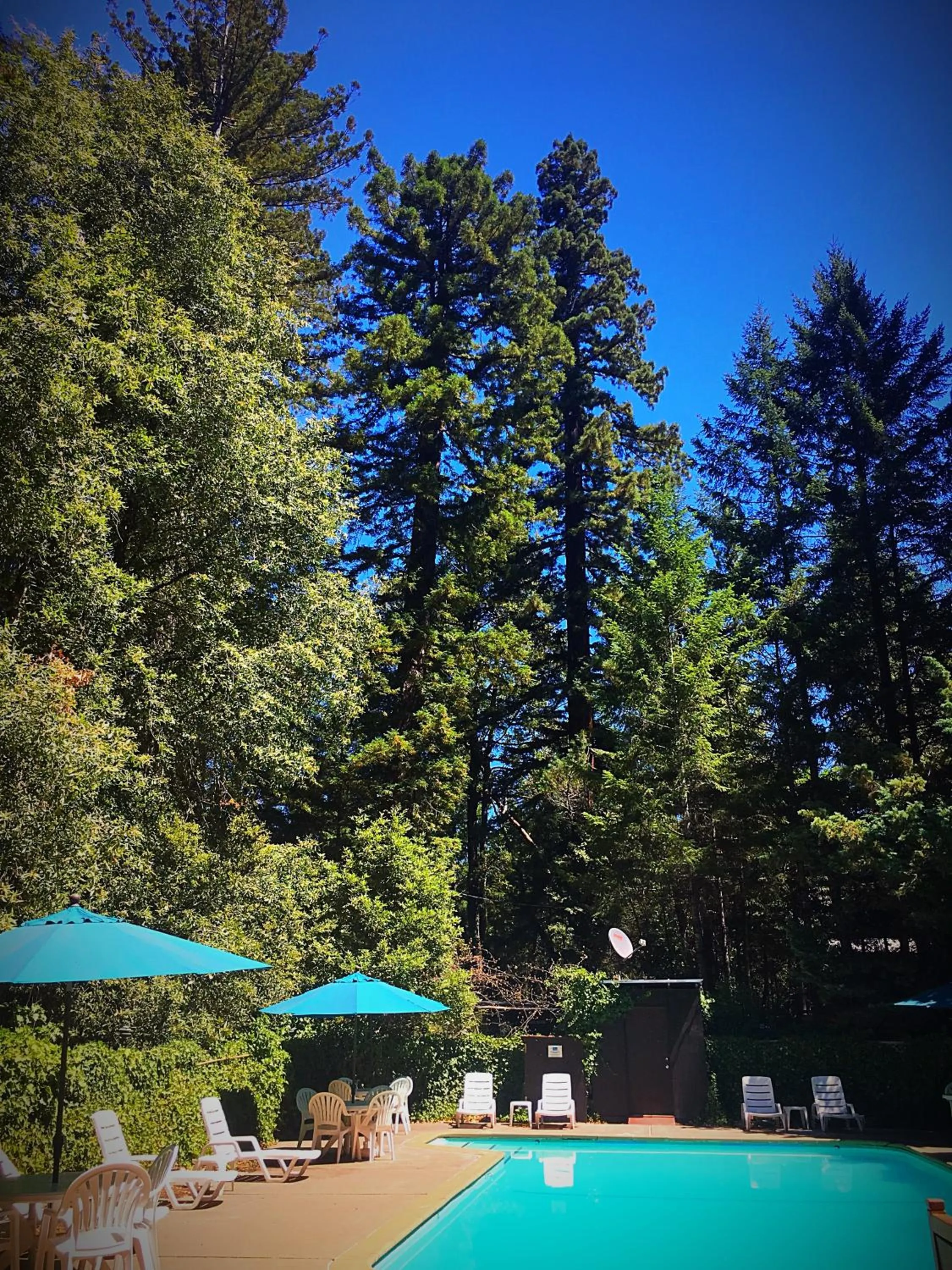 Swimming pool in Redwoods River Resort & Campground